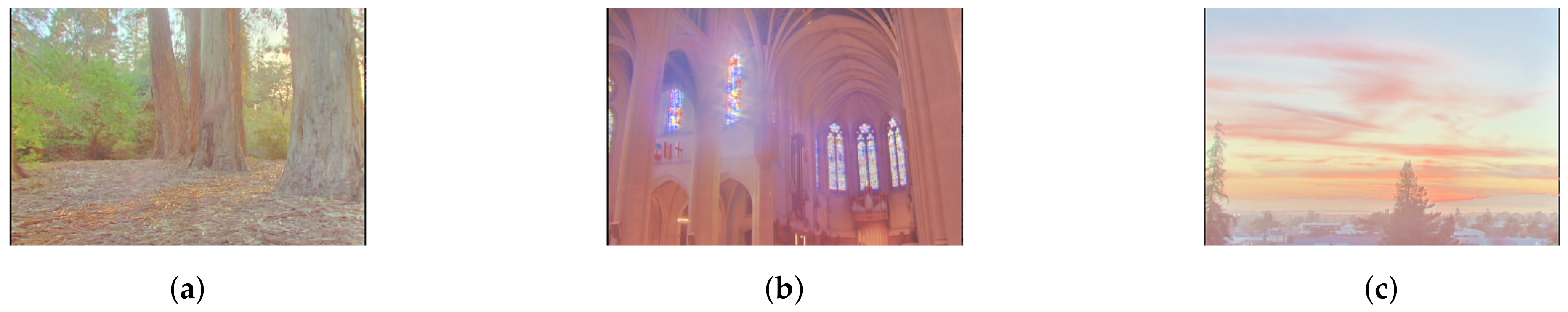 Sensors 20 04378 g003