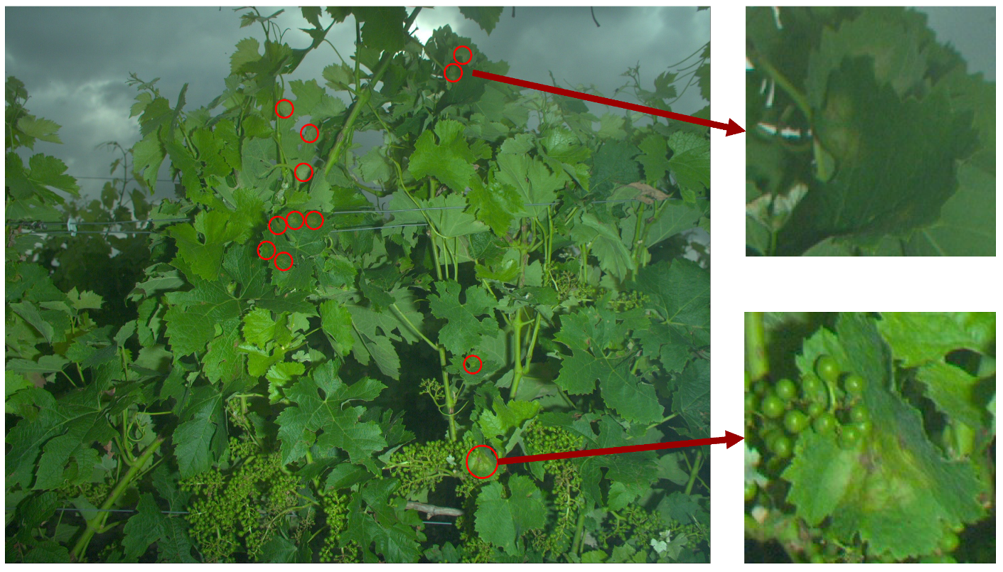 Sensors 20 04380 g002