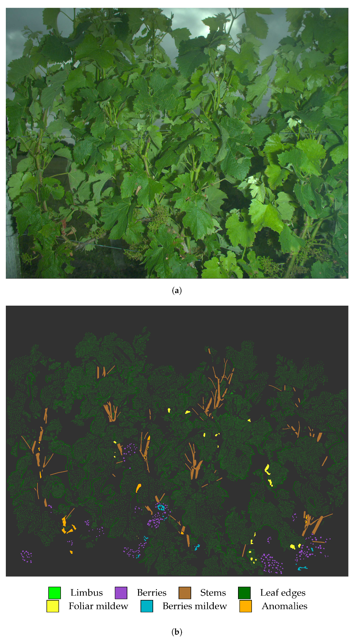 Sensors 20 04380 g008