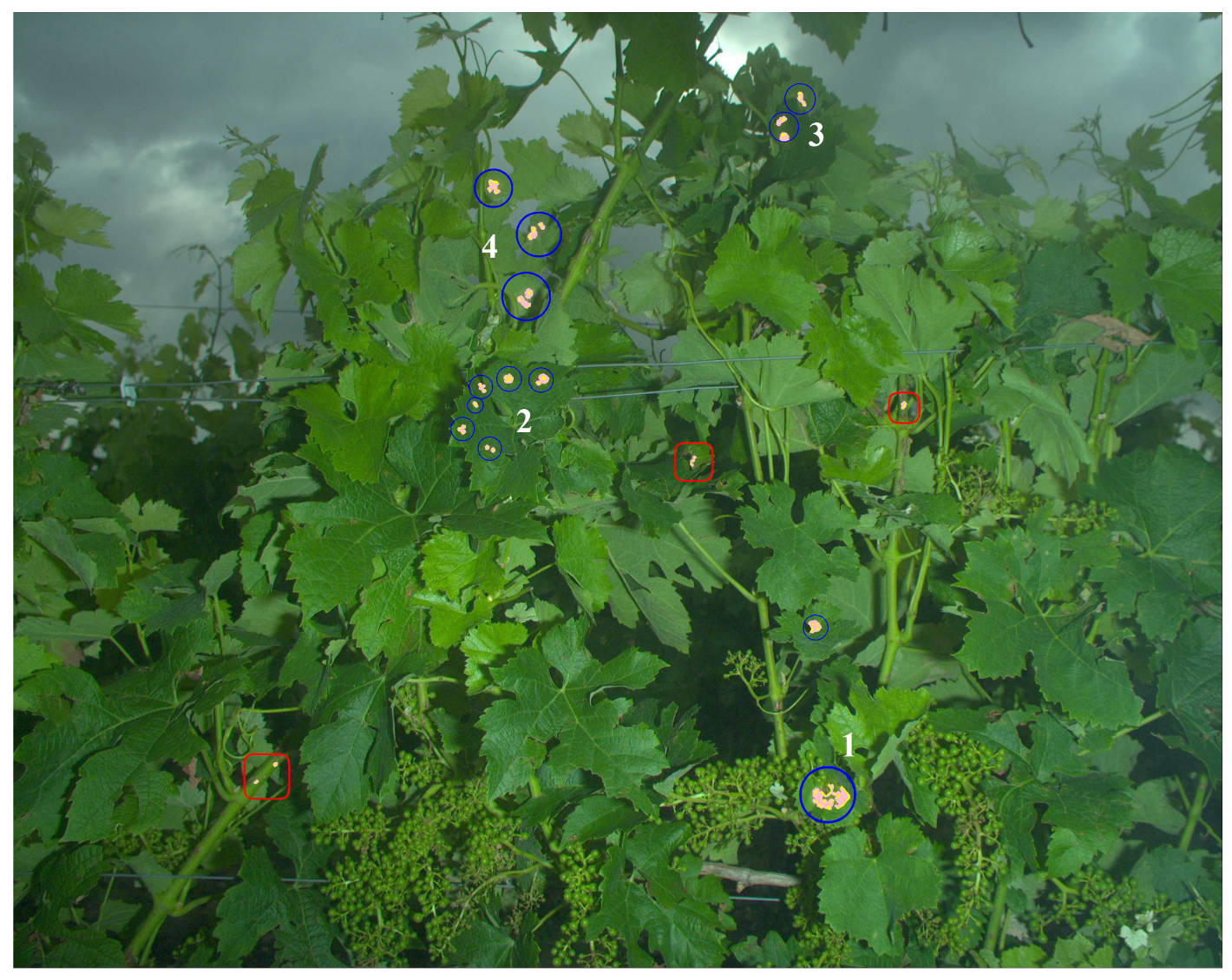 Sensors 20 04380 g011