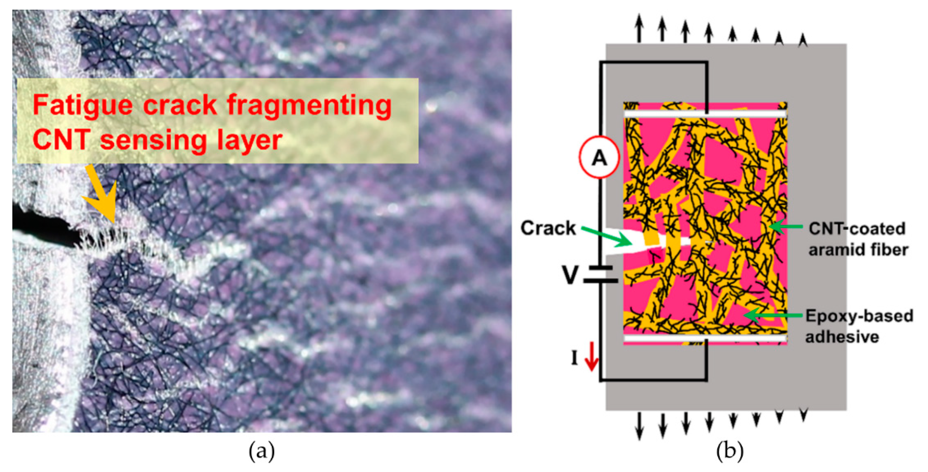 Sensors 20 04383 g001