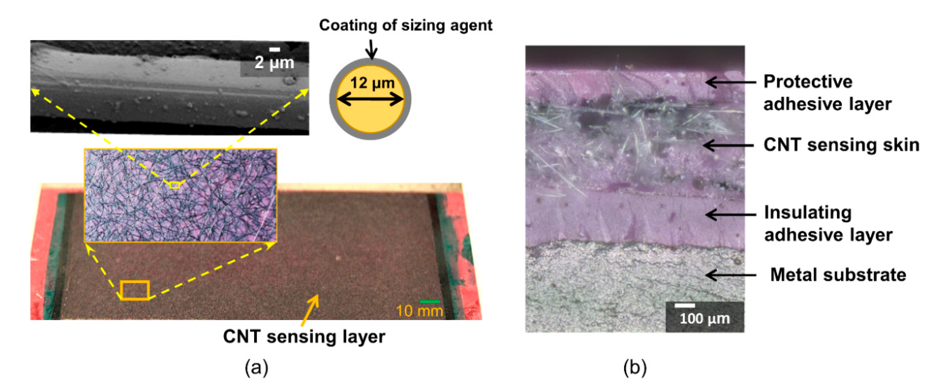 Sensors 20 04383 g003