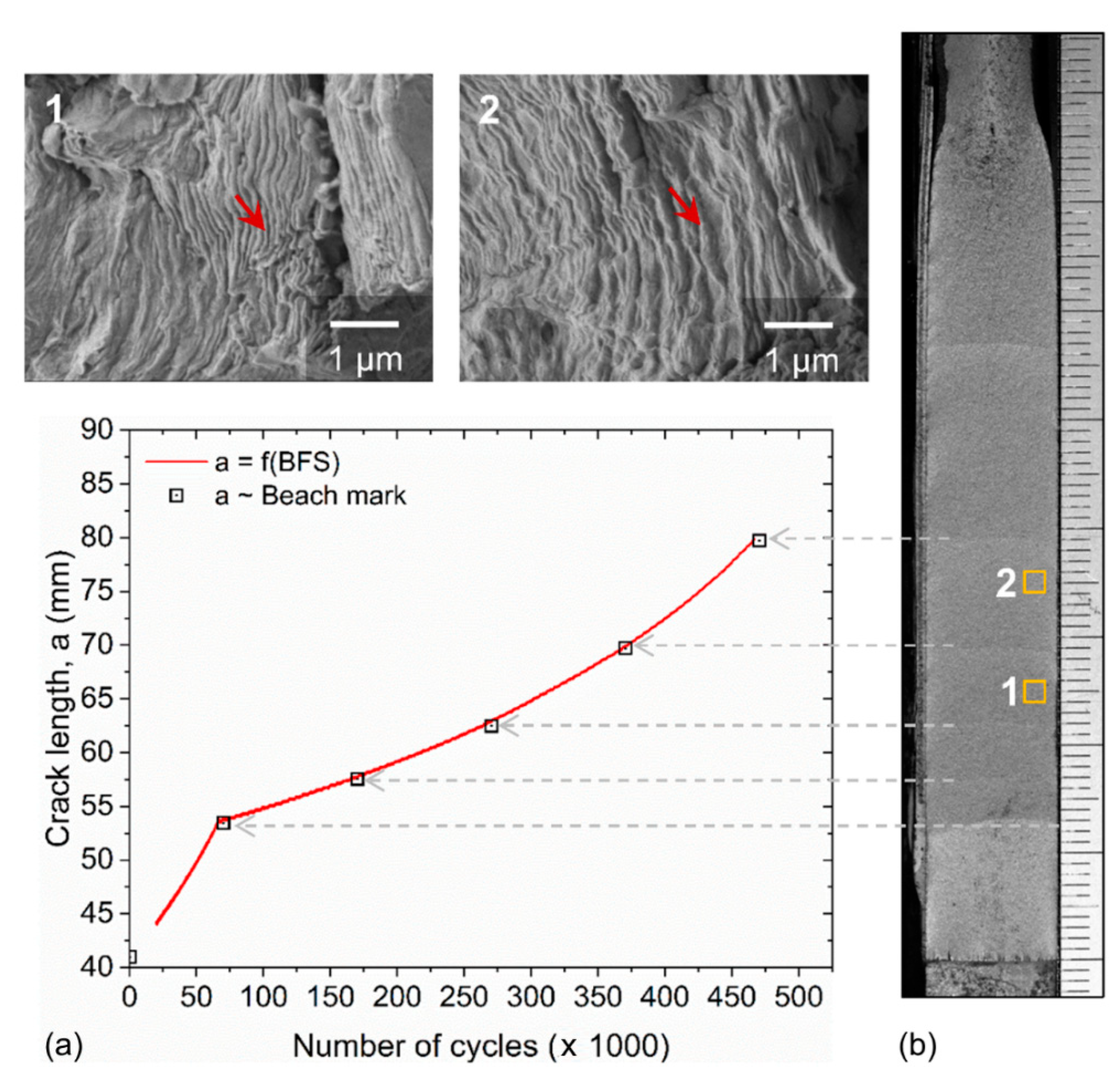 Sensors 20 04383 g007