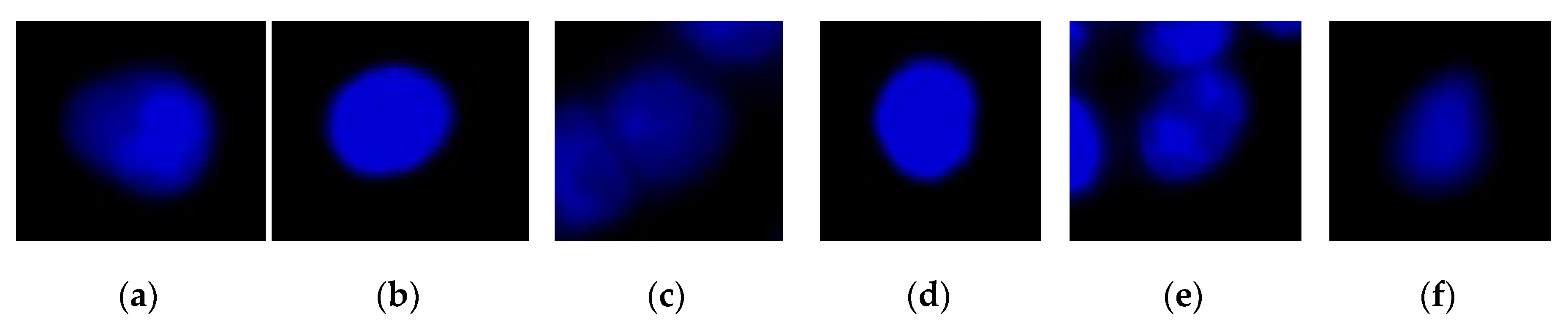 Sensors 20 04409 g001
