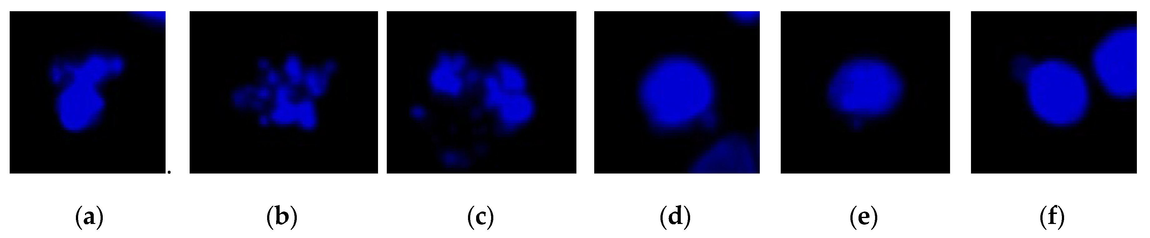 Sensors 20 04409 g002