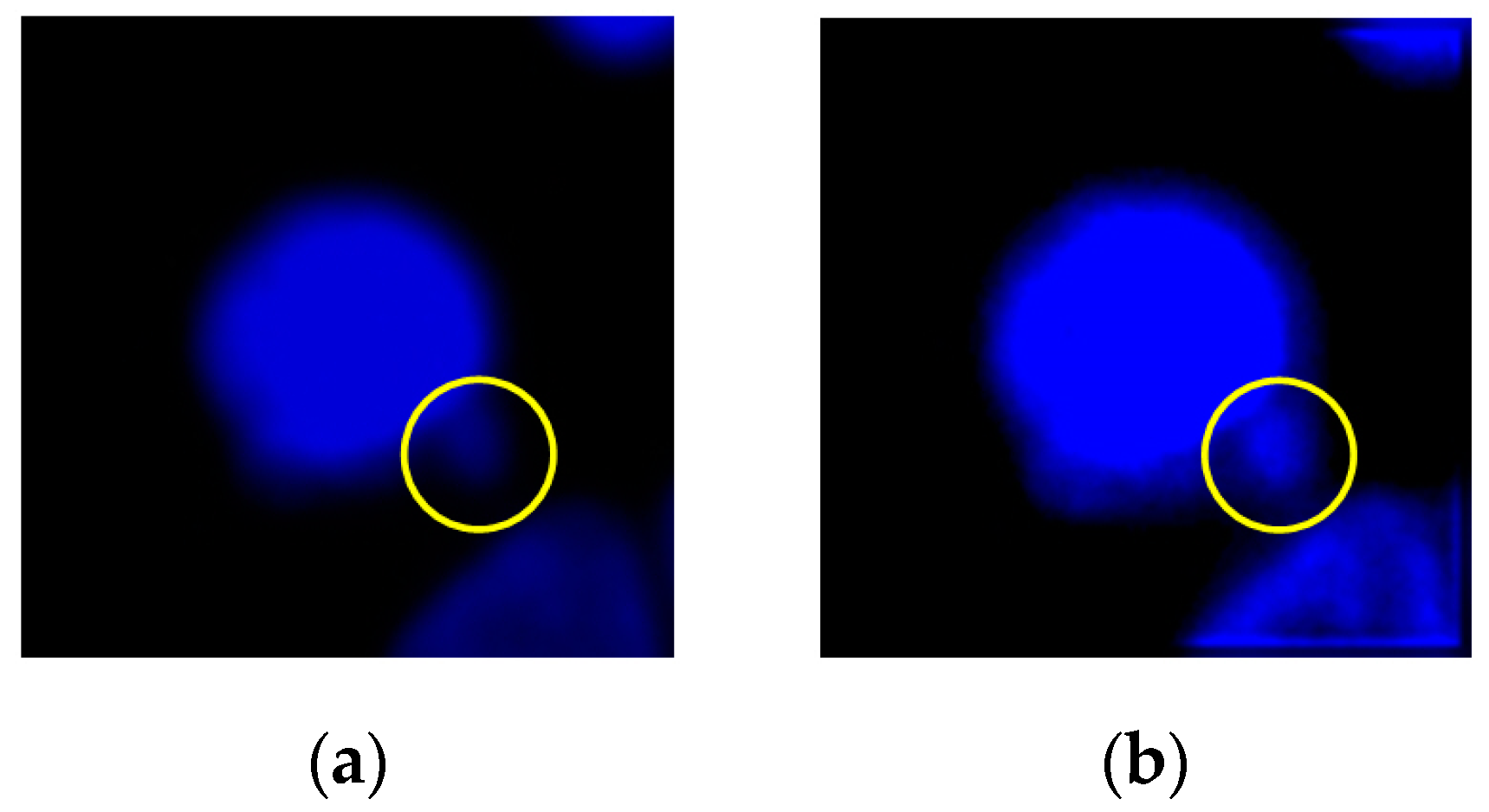 Sensors 20 04409 g004