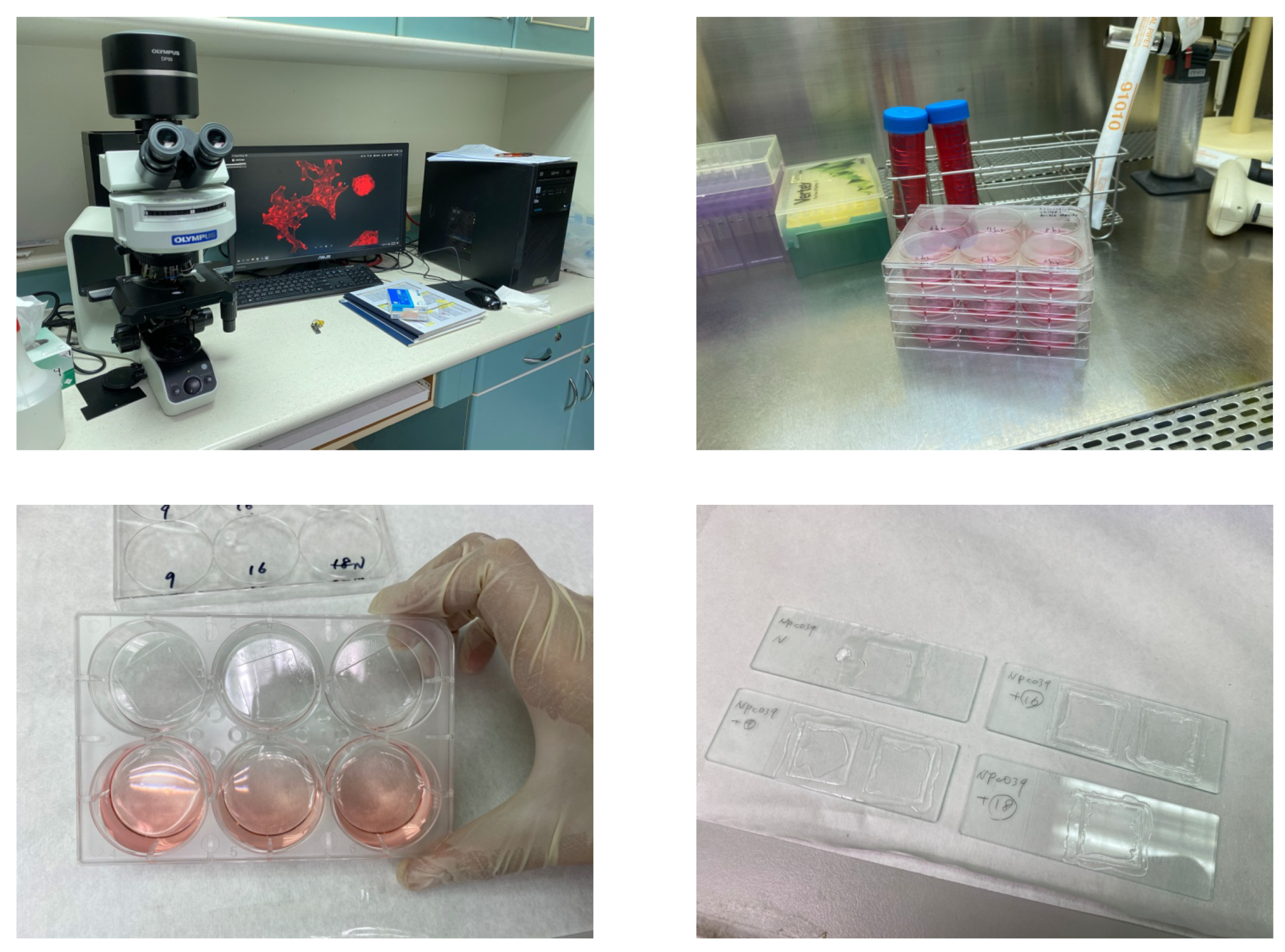 Sensors 20 04409 g008