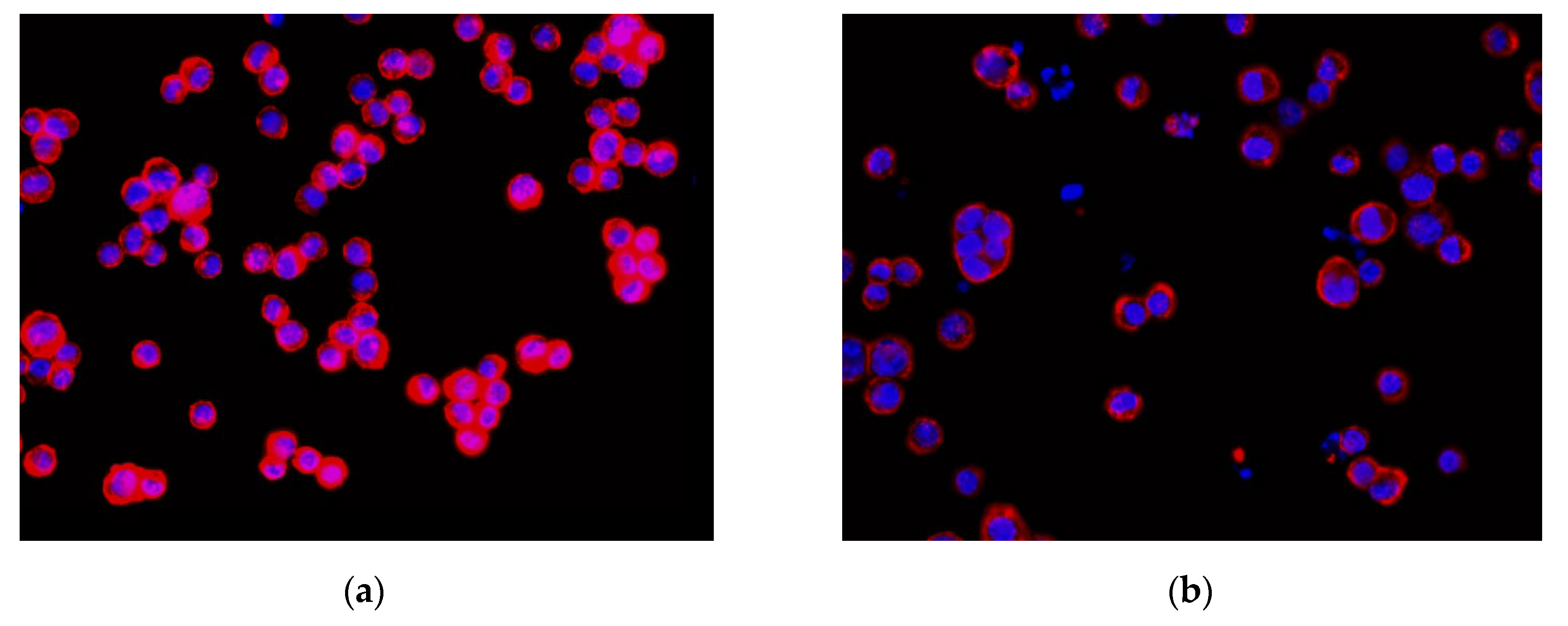 Sensors 20 04409 g009