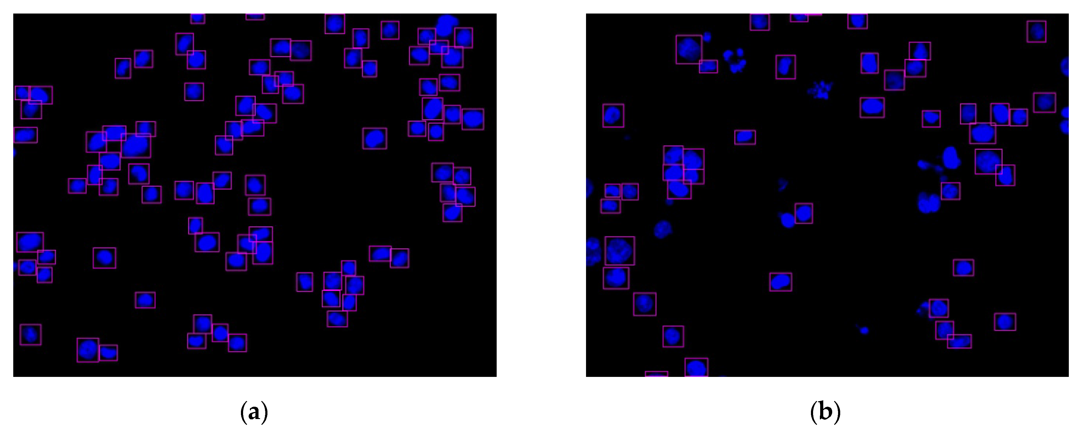 Sensors 20 04409 g012