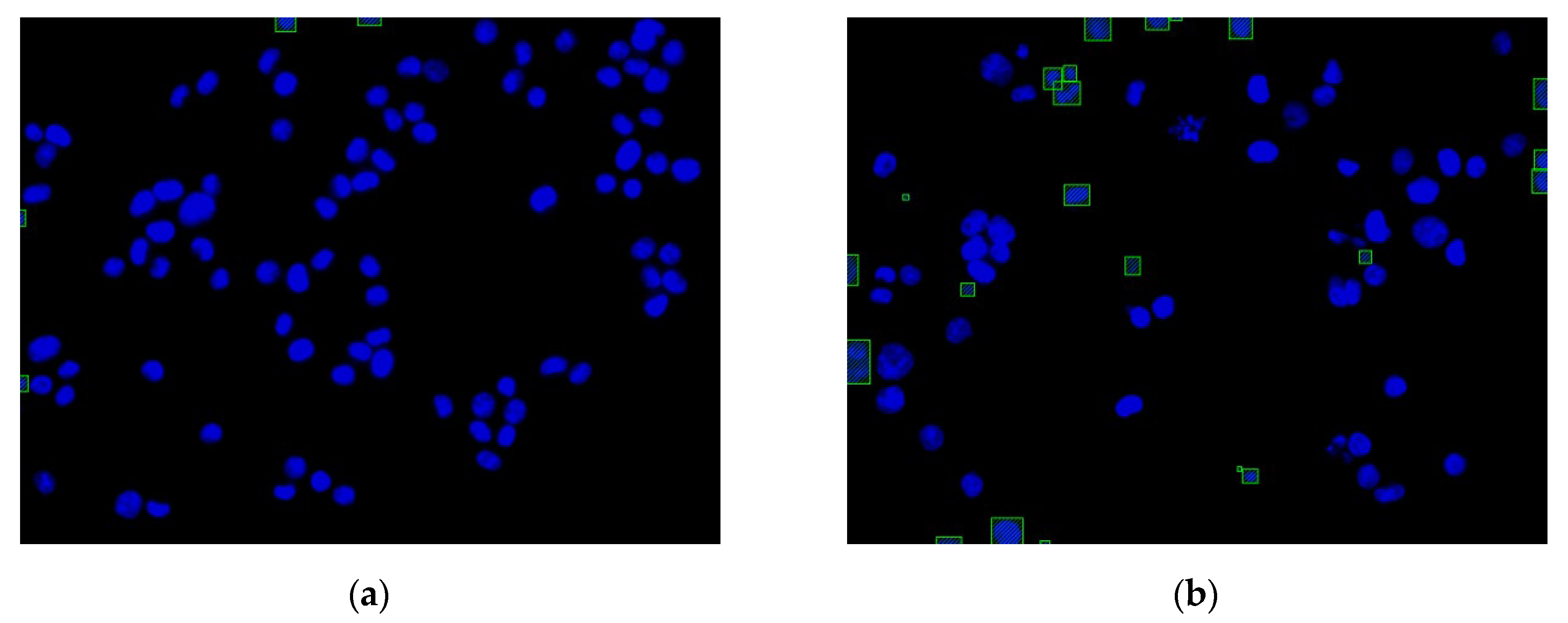 Sensors 20 04409 g014
