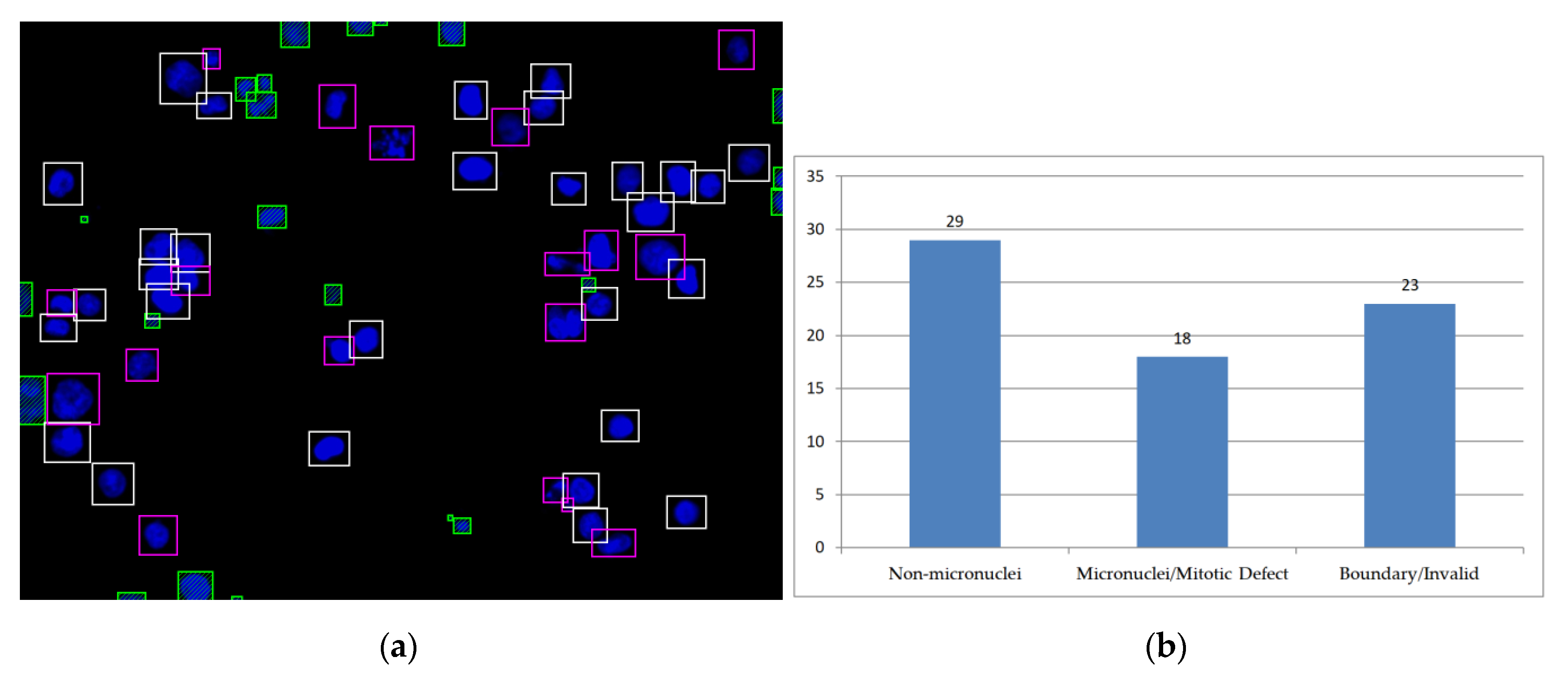 Sensors 20 04409 g016