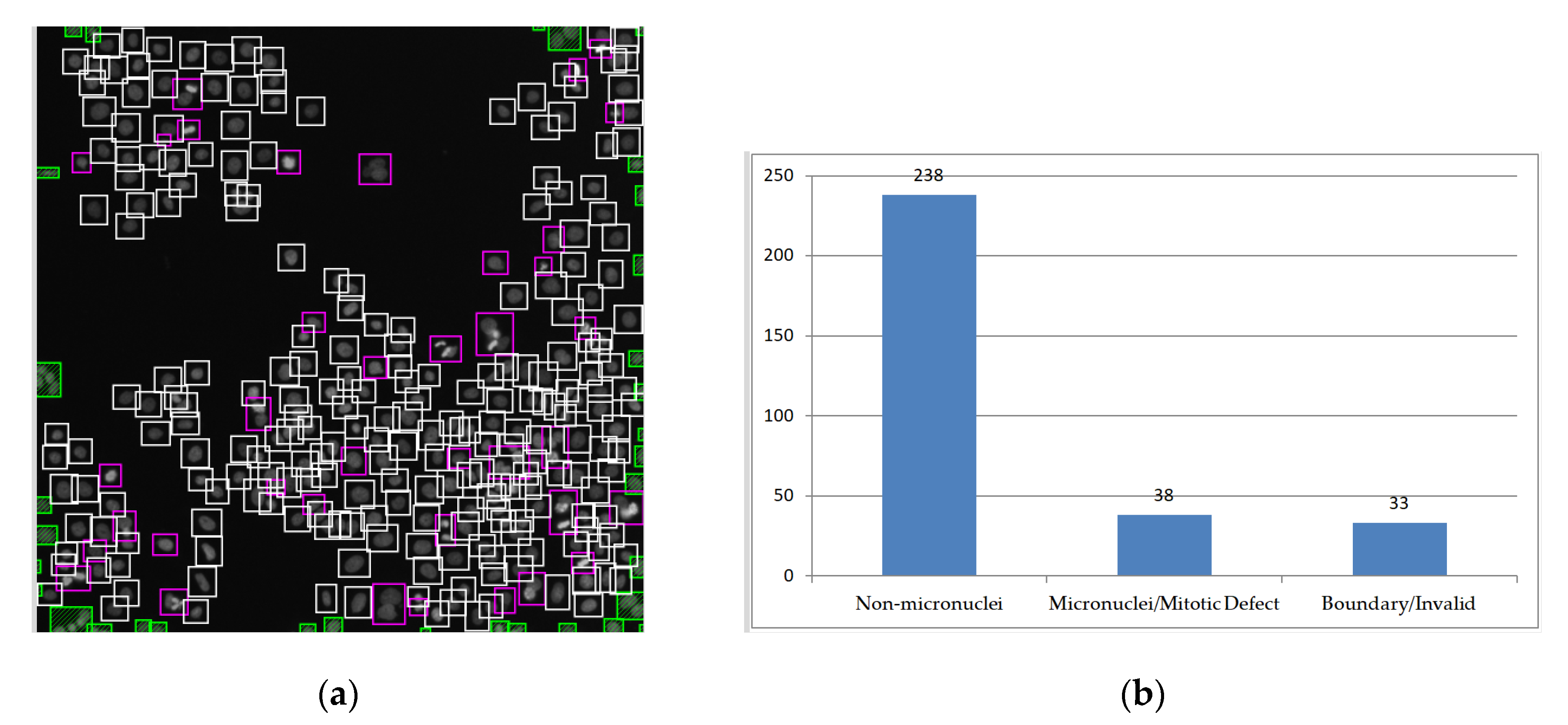 Sensors 20 04409 g017
