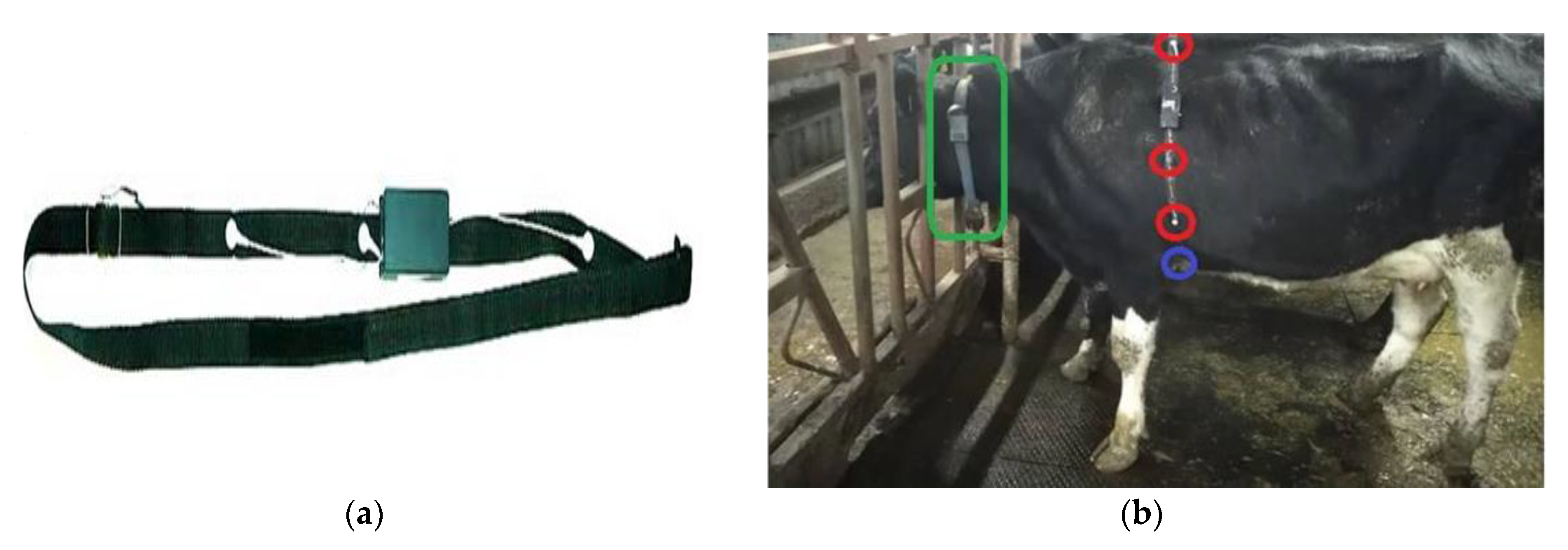 Sensors 20 04416 g002