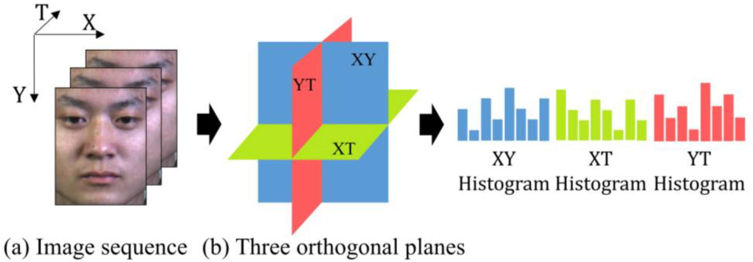 Sensors 20 04437 g002