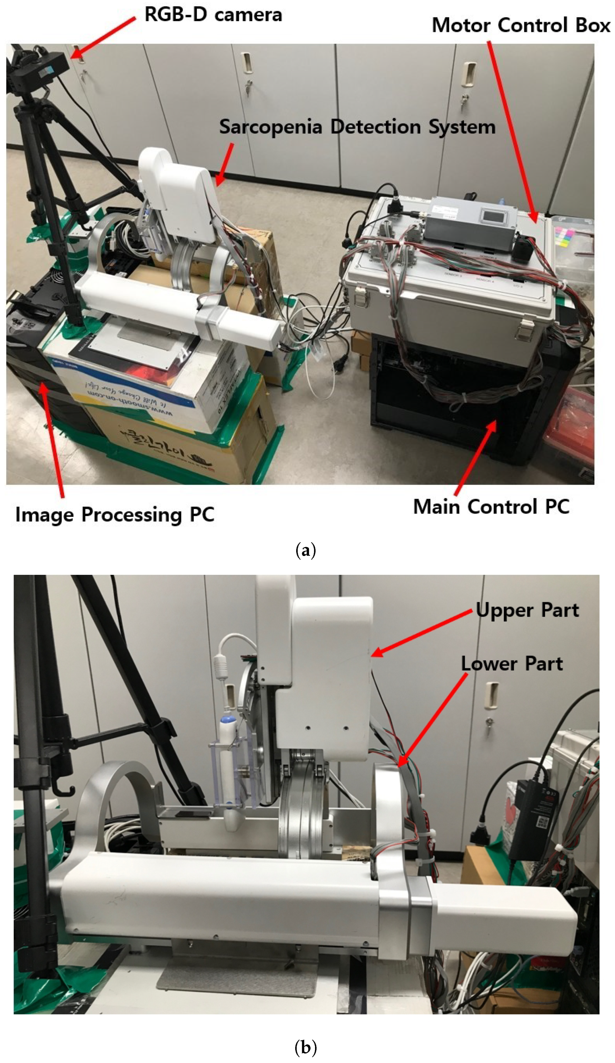 Sensors 20 04447 g003