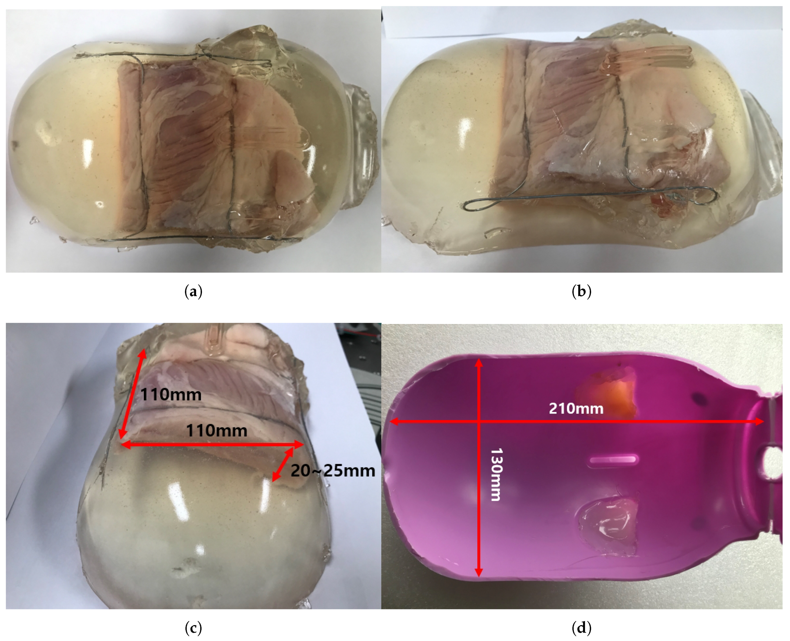 Sensors 20 04447 g013