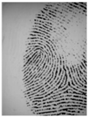 Sensors 20 04473 i001