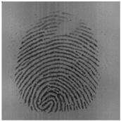 Sensors 20 04473 i002