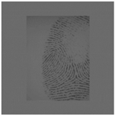 Sensors 20 04473 i004