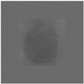 Sensors 20 04473 i005