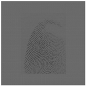 Sensors 20 04473 i006