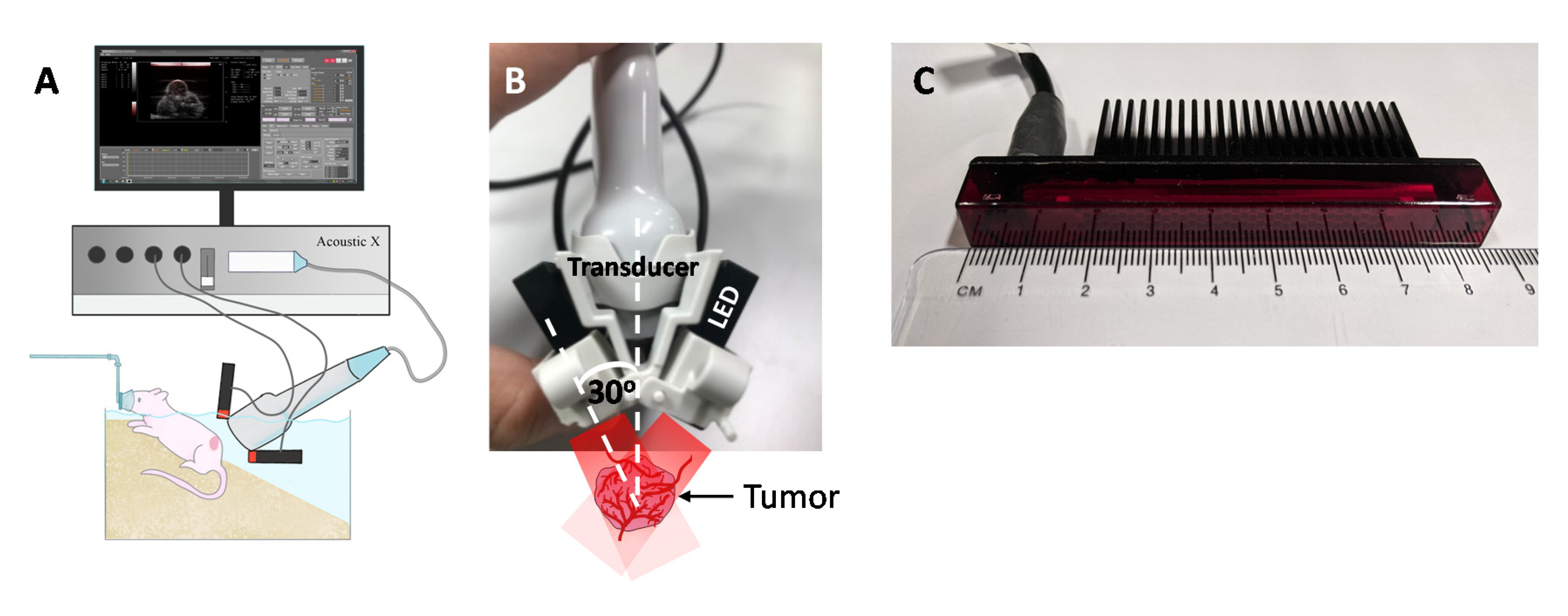 Sensors 20 04503 g001 Sensors 20 04503 g001