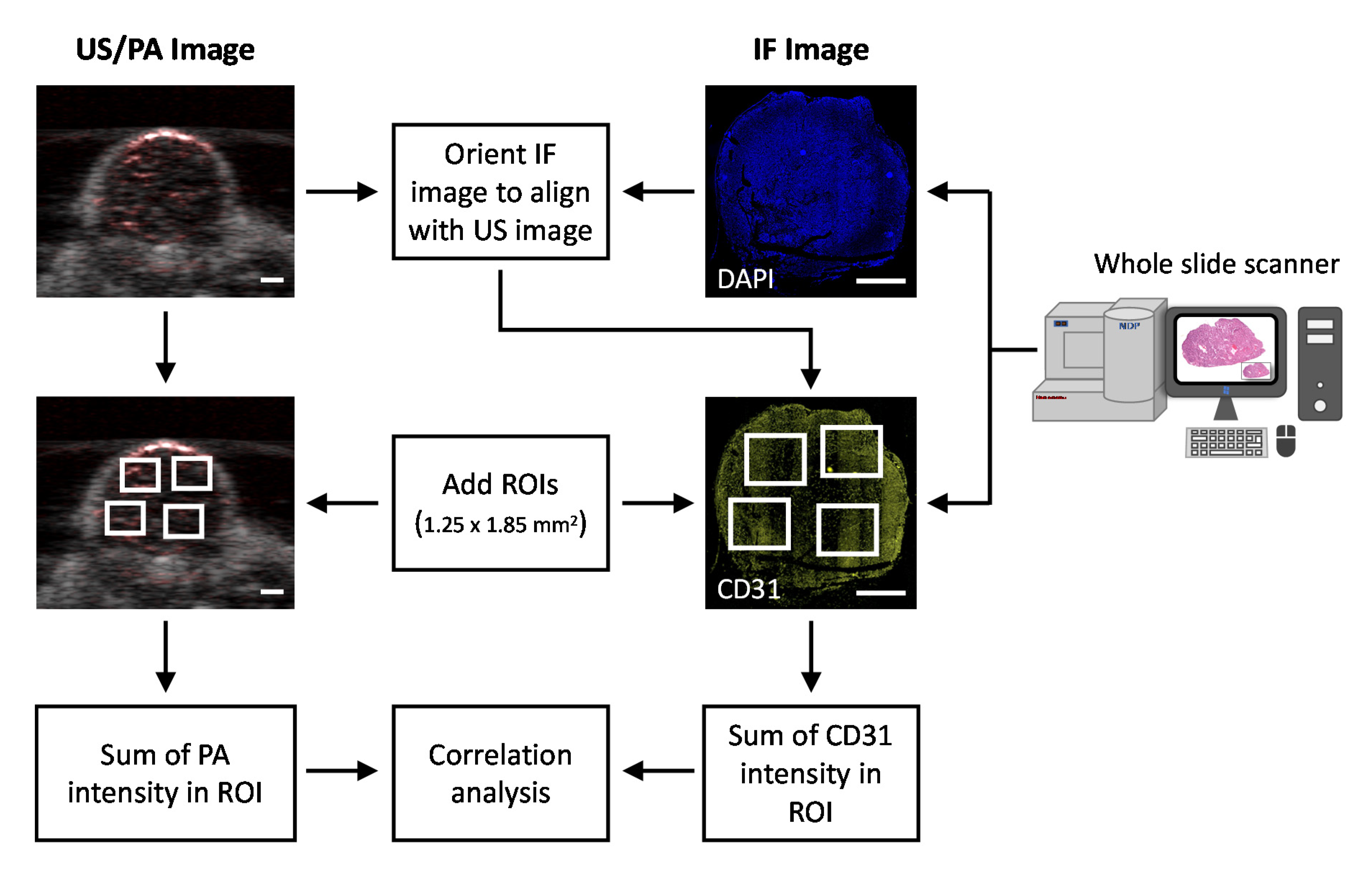 Sensors 20 04503 g002 Sensors 20 04503 g002