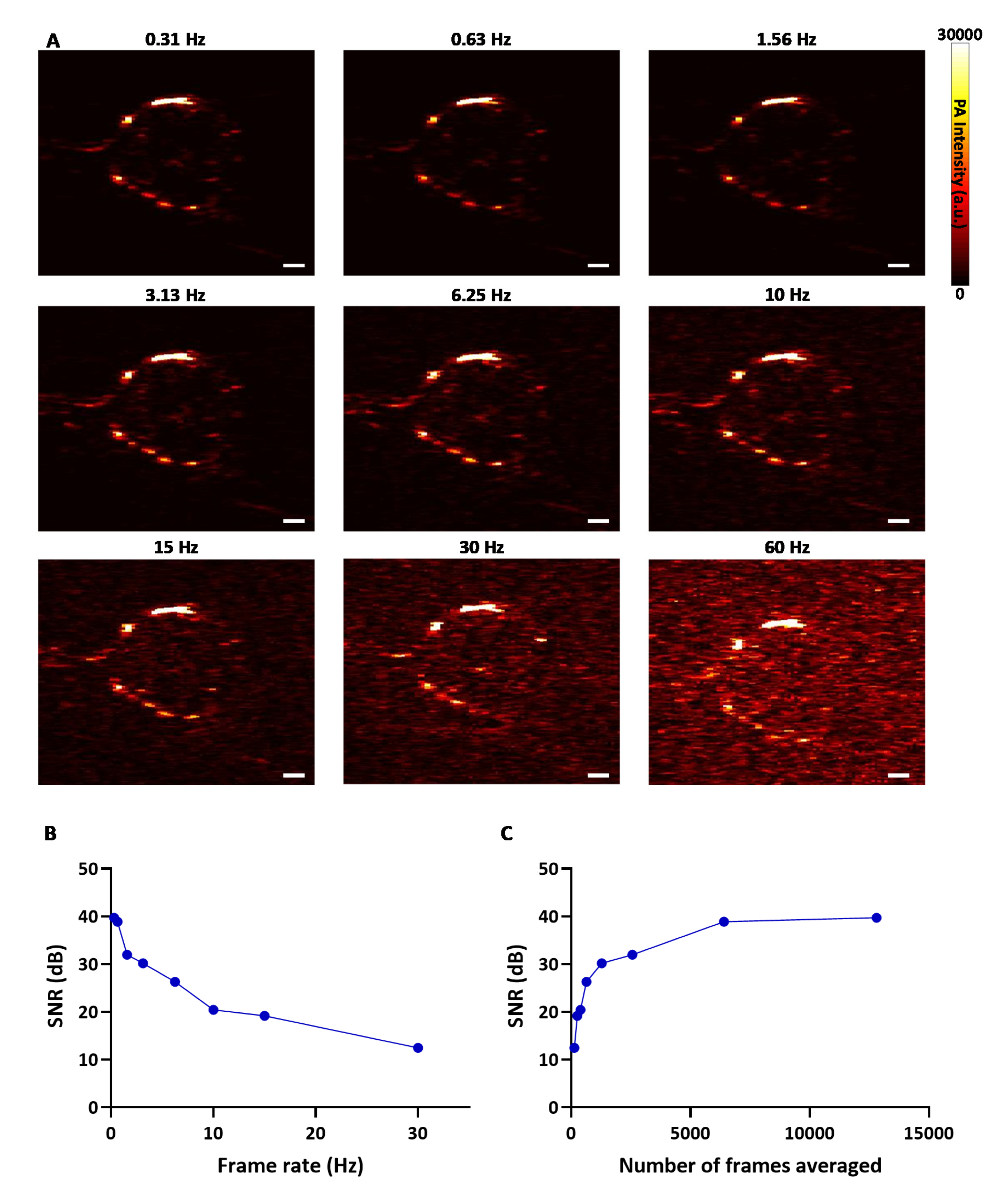 Sensors 20 04503 g003 Sensors 20 04503 g003