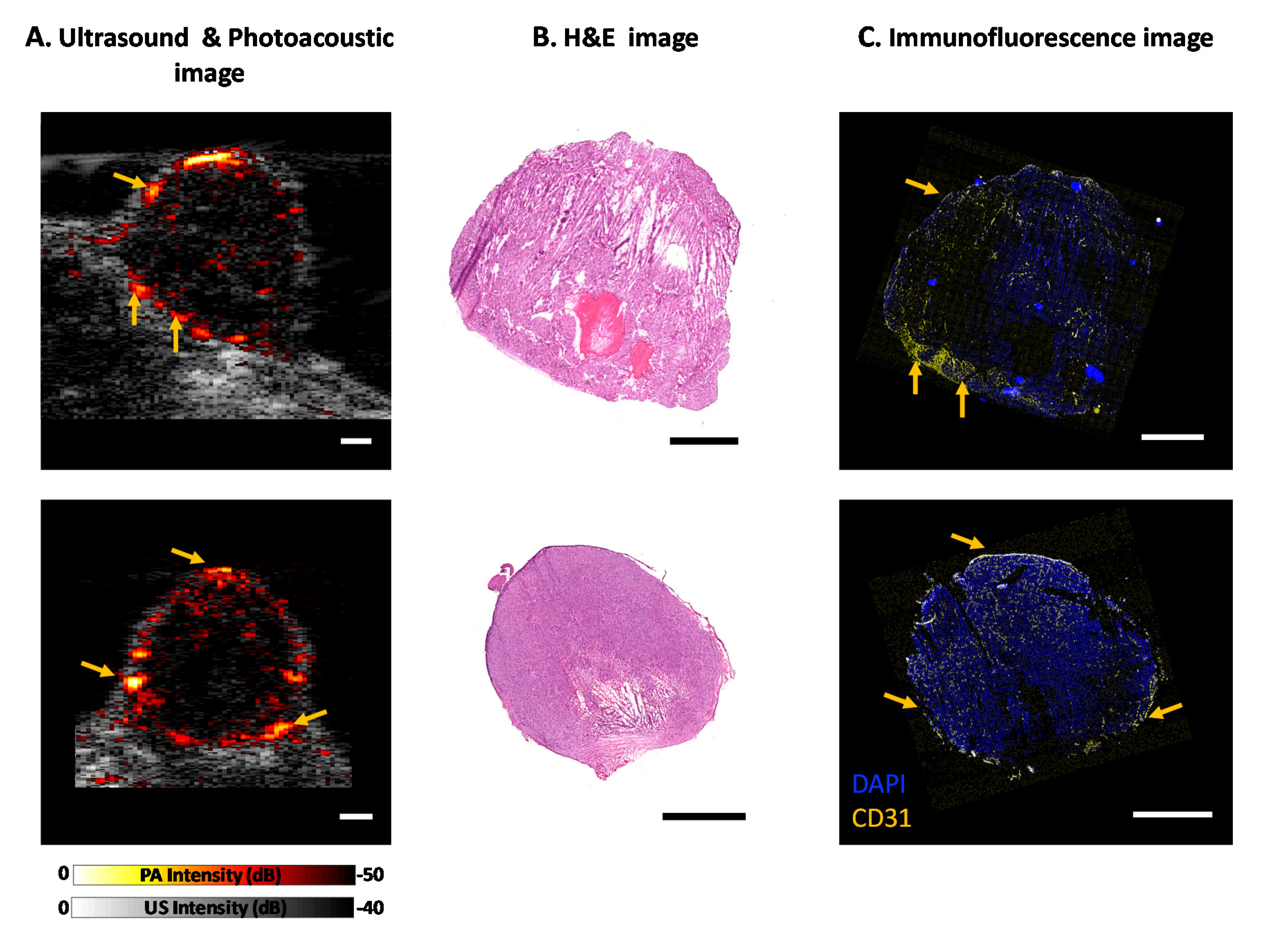 Sensors 20 04503 g004 Sensors 20 04503 g004
