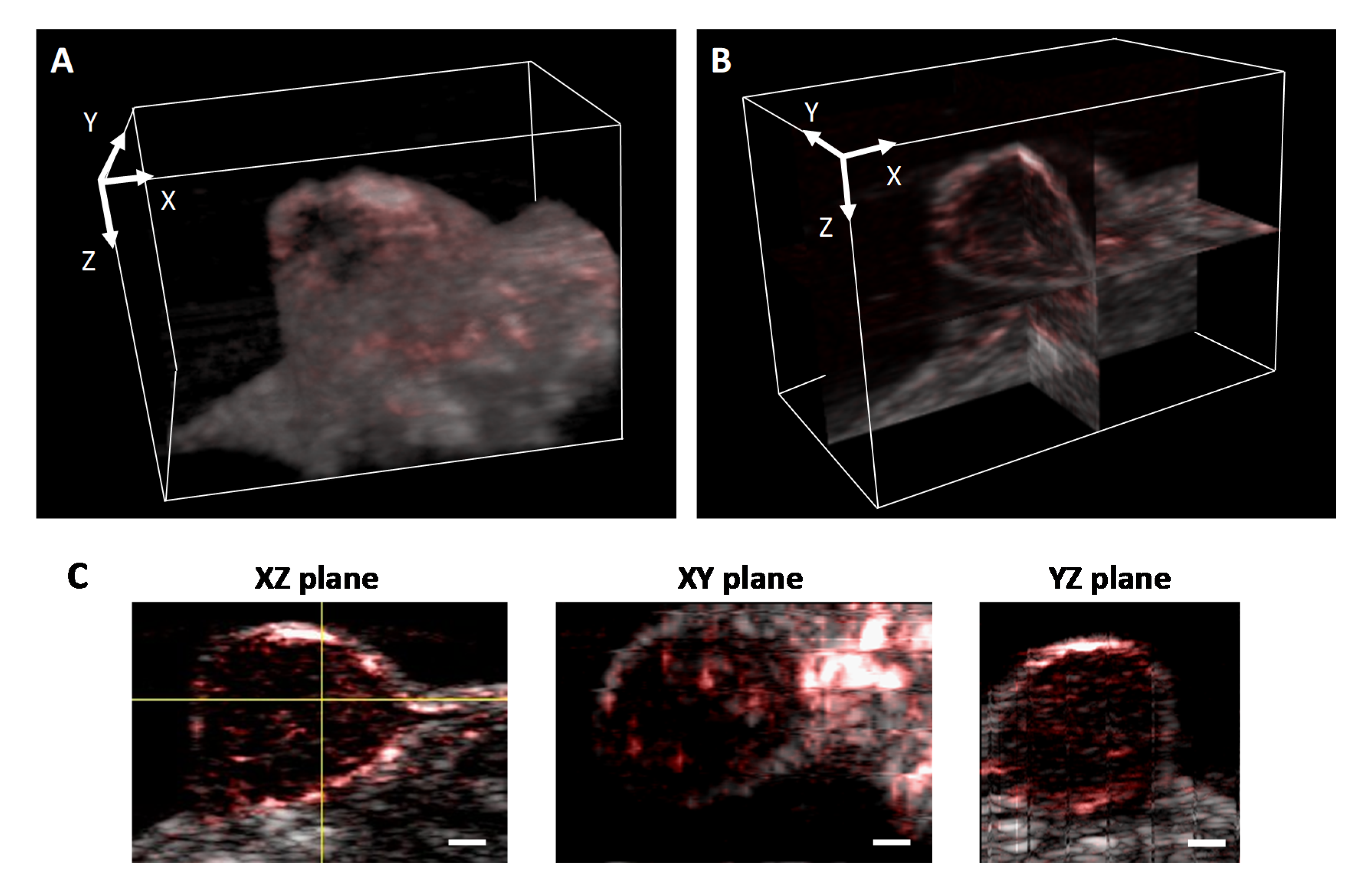 Sensors 20 04503 g006 Sensors 20 04503 g006