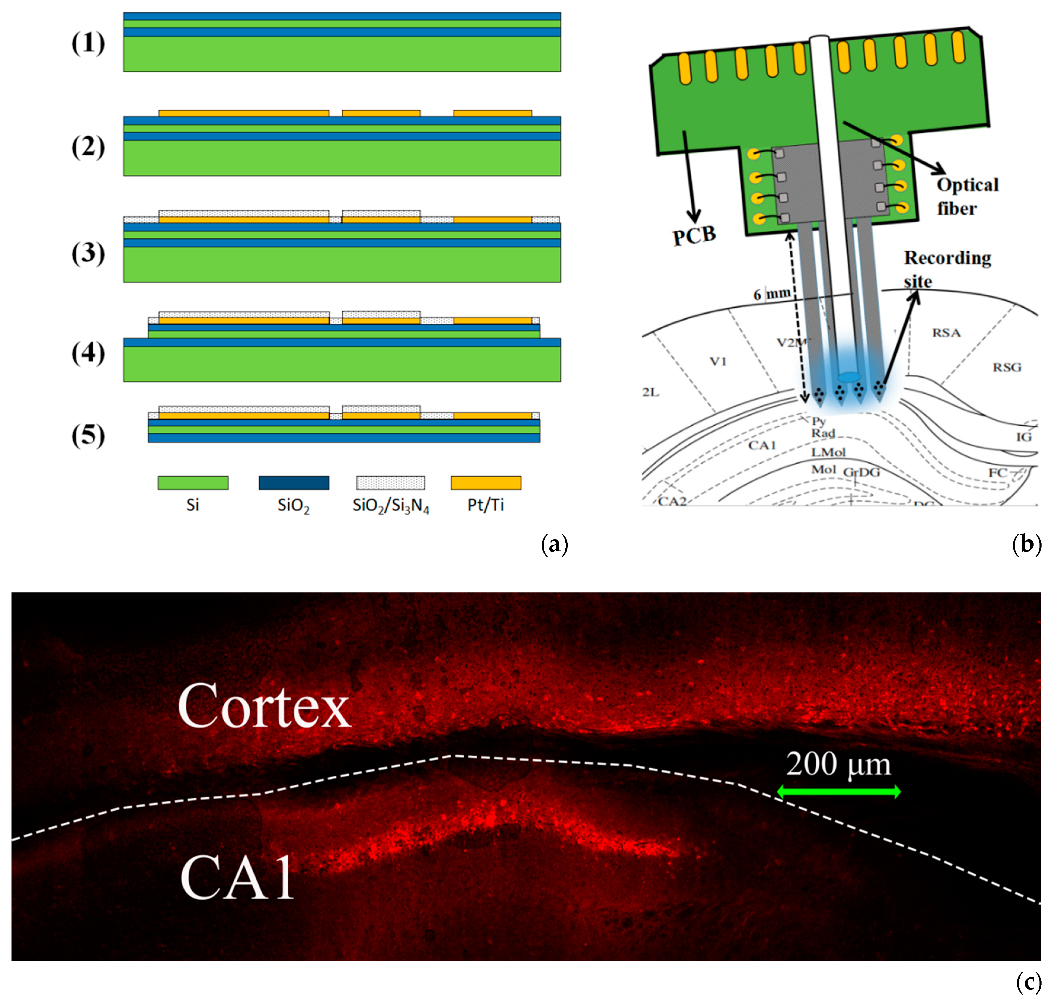 Sensors 20 04526 g001