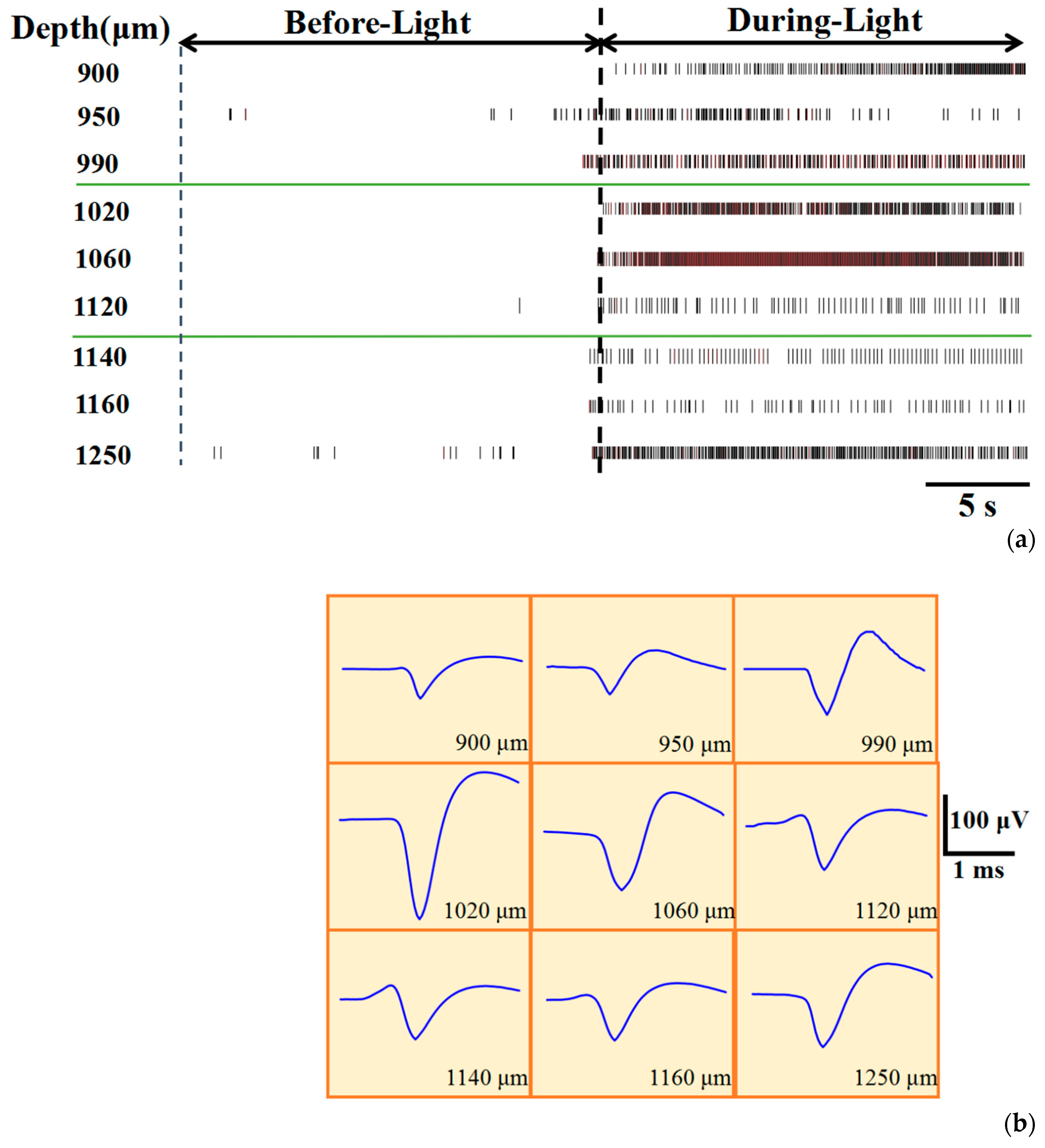 Sensors 20 04526 g003