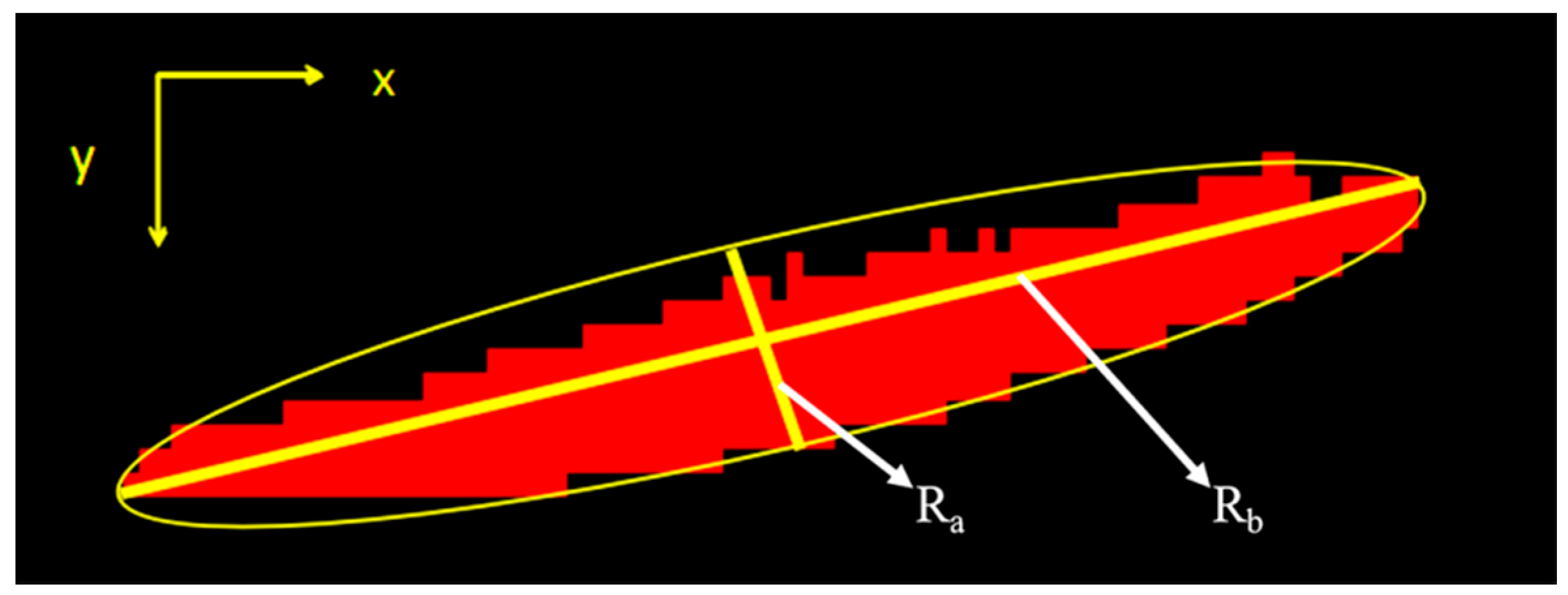 Sensors 20 04531 g010