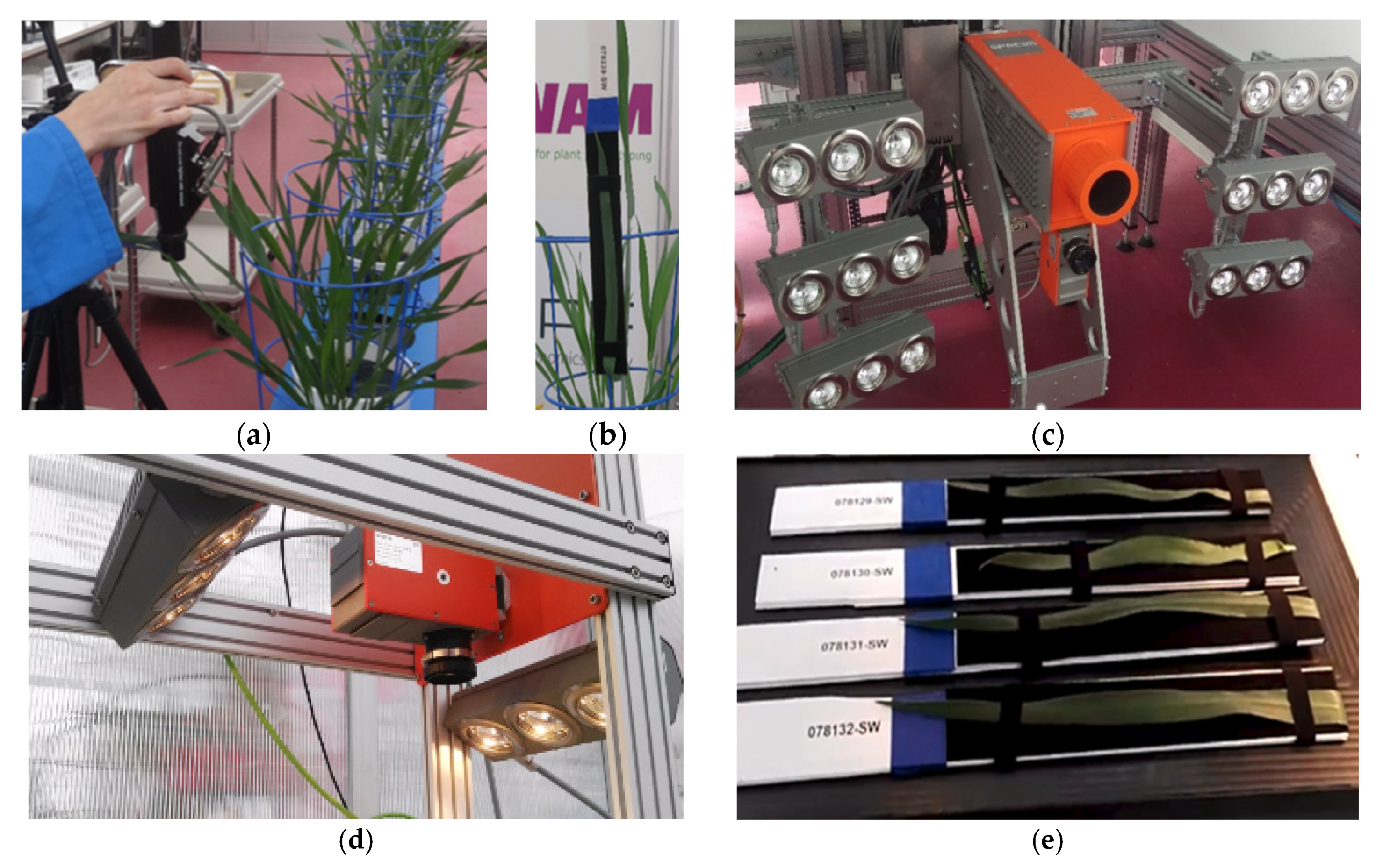 Sensors 20 04550 g0a1