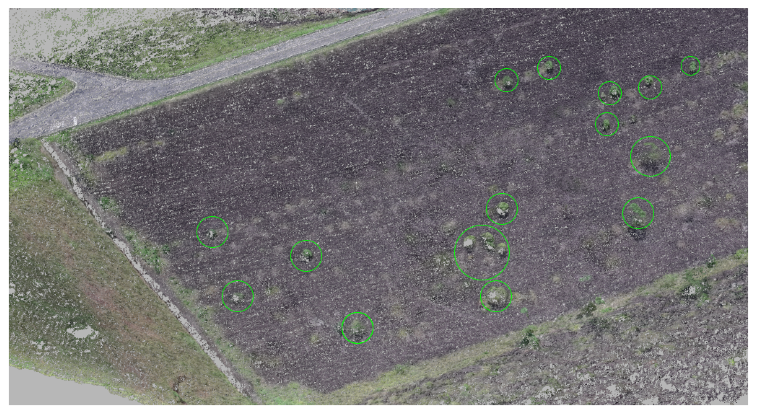 Sensors 20 04579 g007