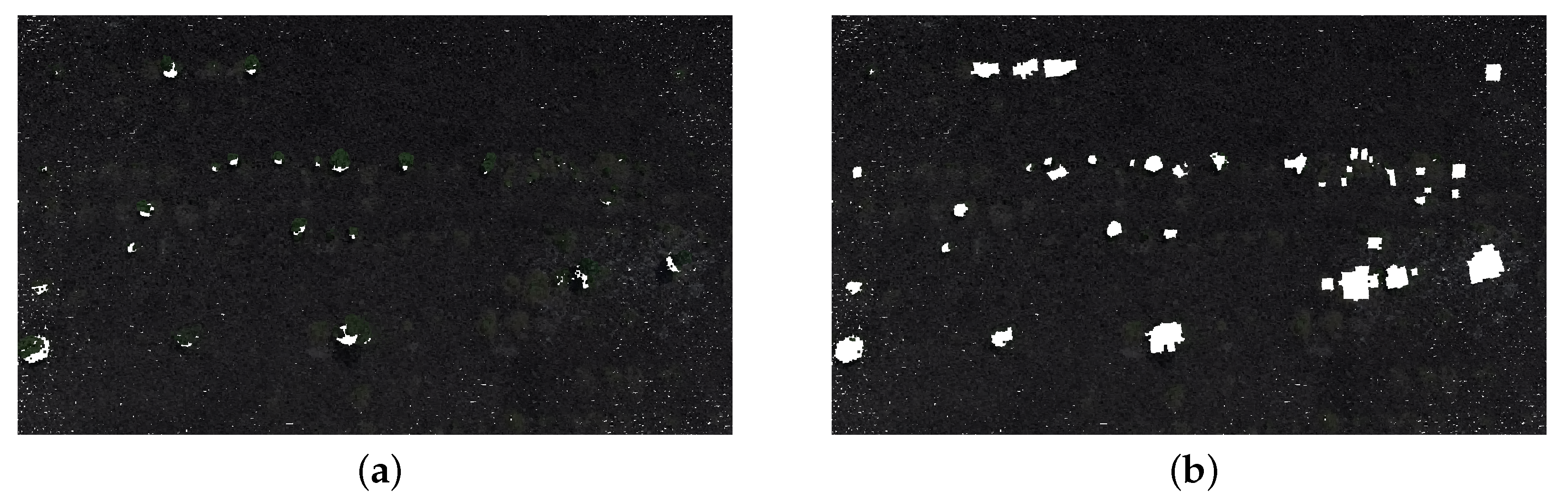 Sensors 20 04579 g008