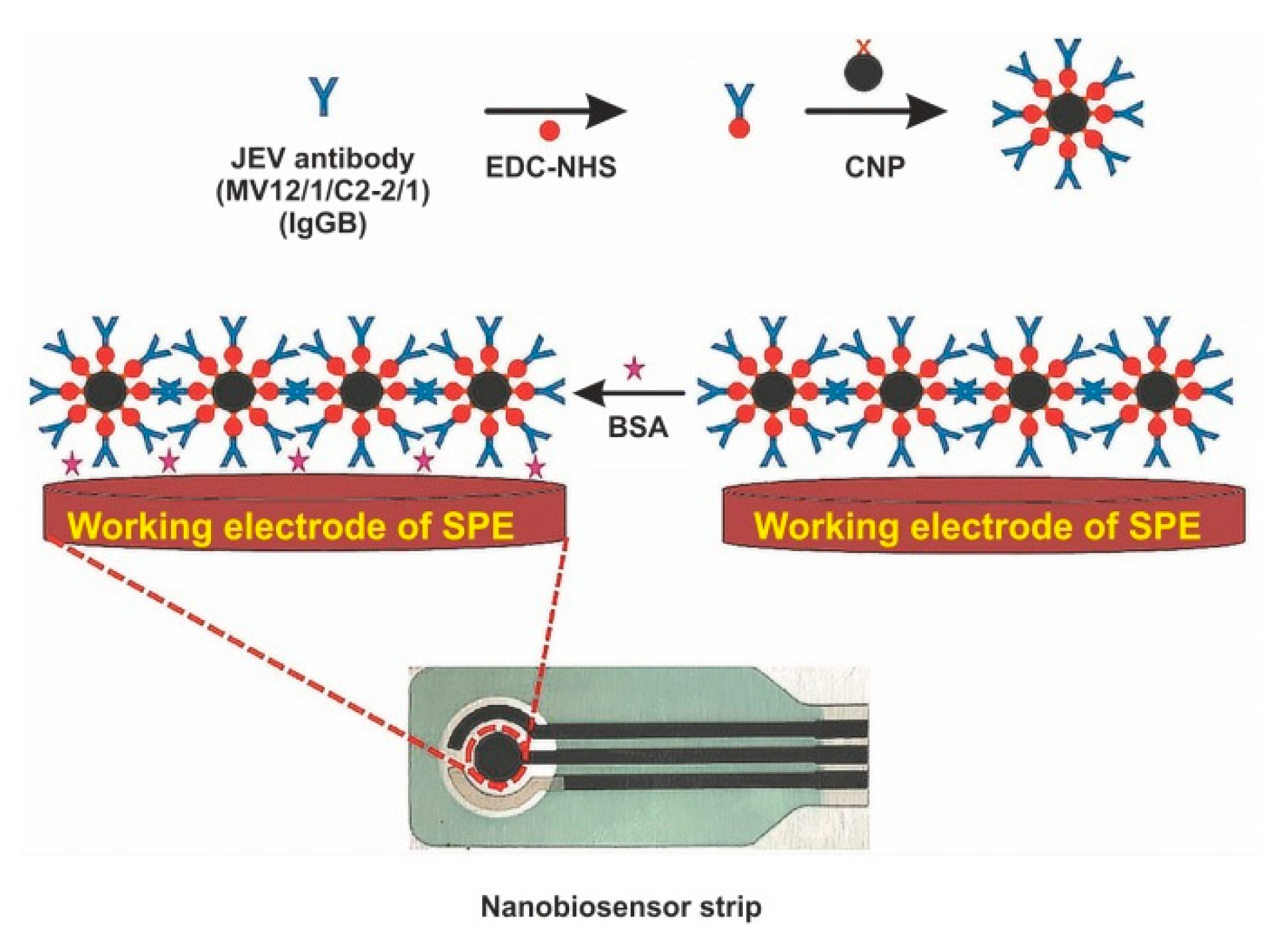 Sensors 20 04600 g006