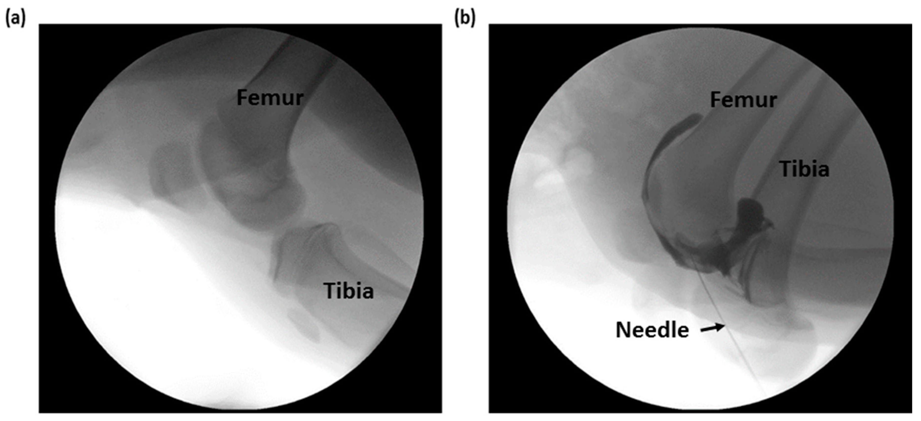 Sensors 20 04625 g009