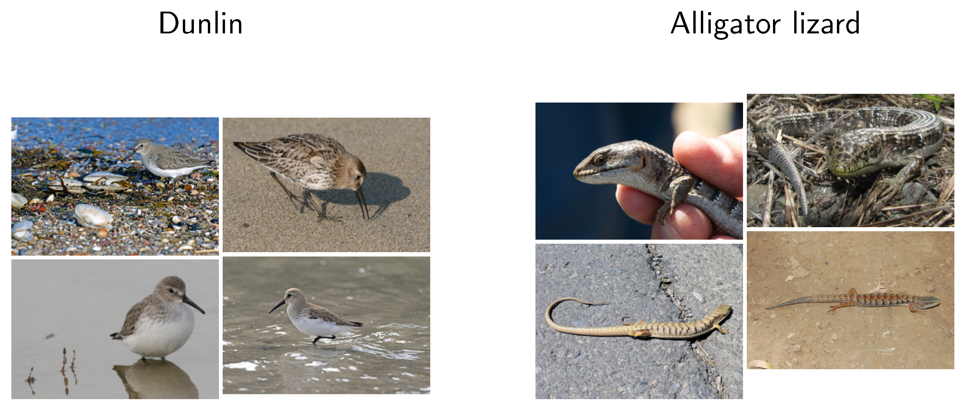 Sensors 20 04668 g001