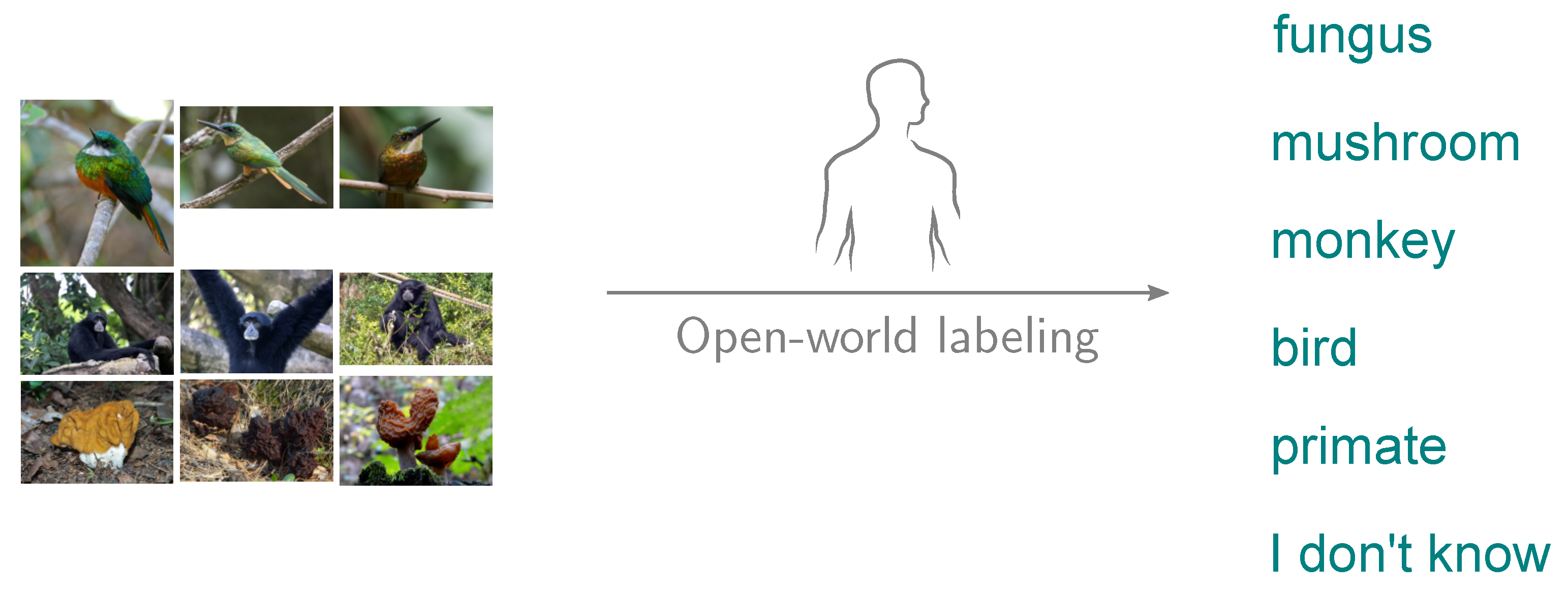 Sensors 20 04668 g004