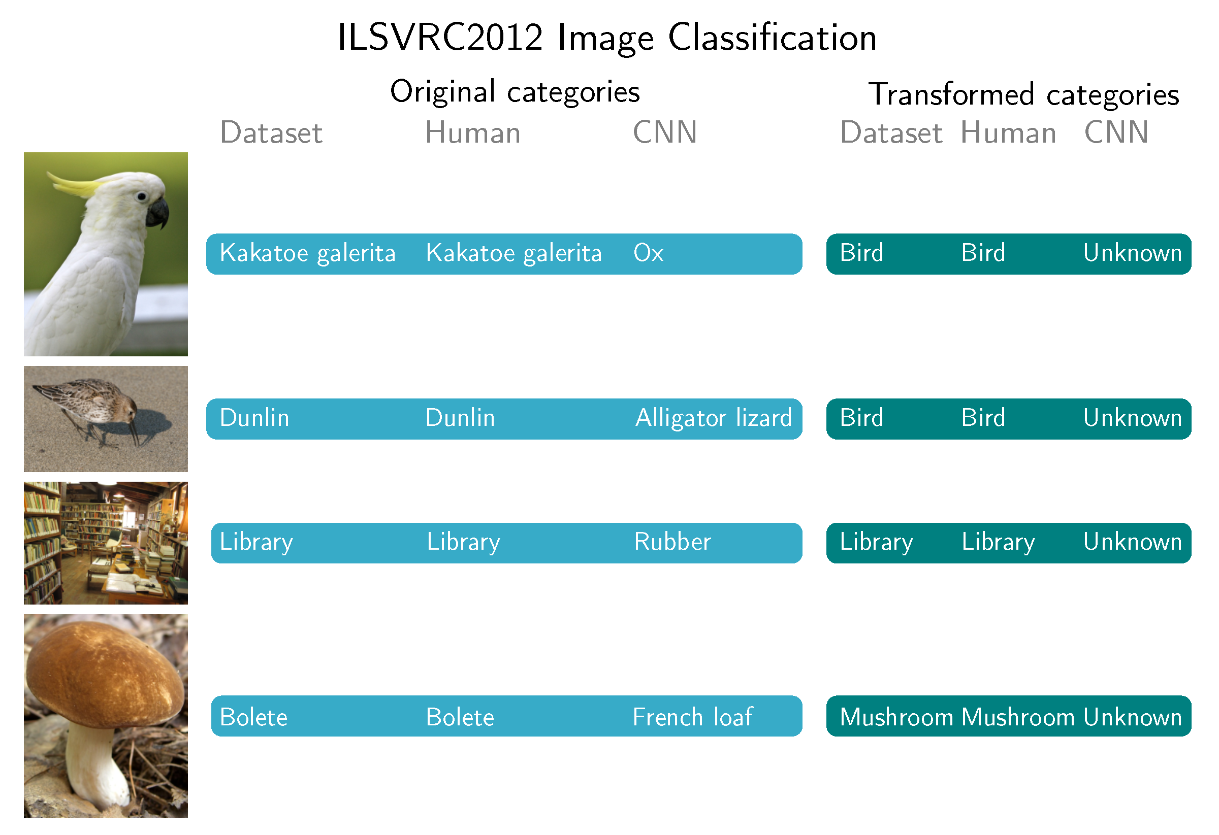 Sensors 20 04668 g008