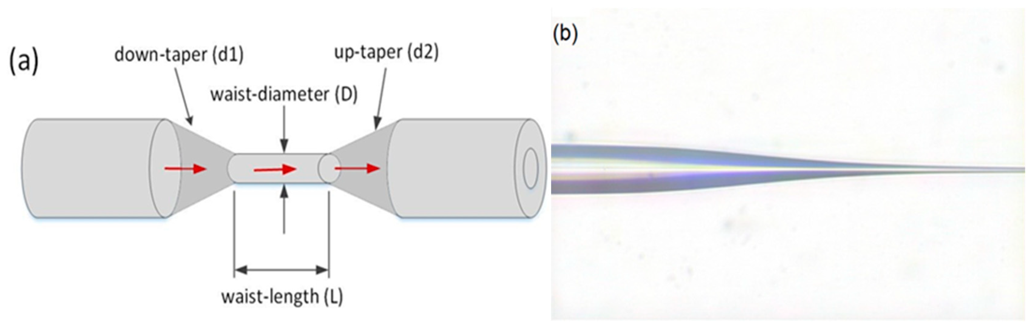 Sensors 20 04713 g001