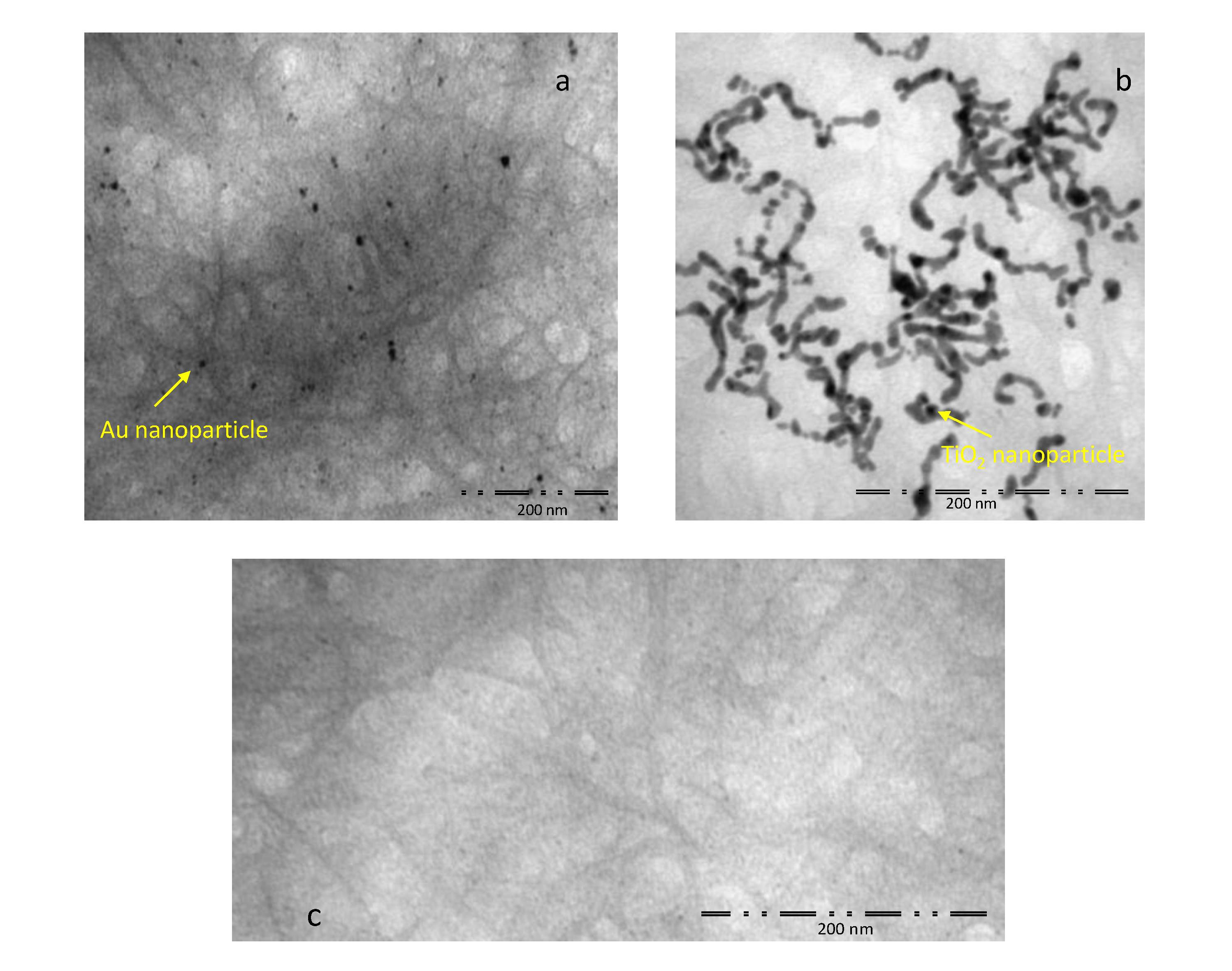 Sensors 20 04729 g004