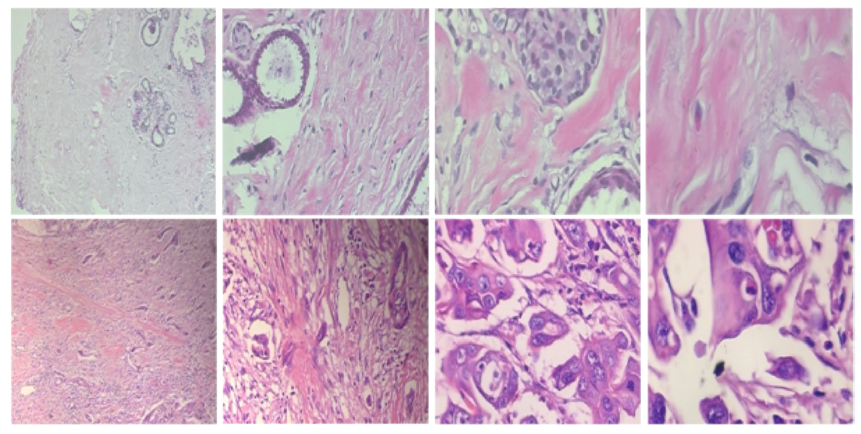 Sensors 20 04747 g003