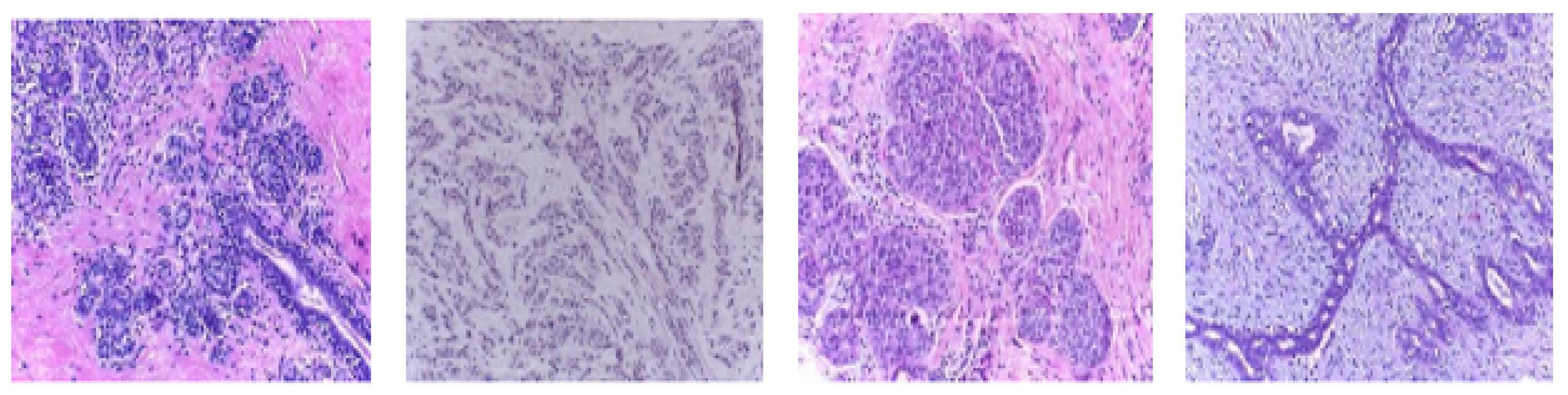 Sensors 20 04747 g004