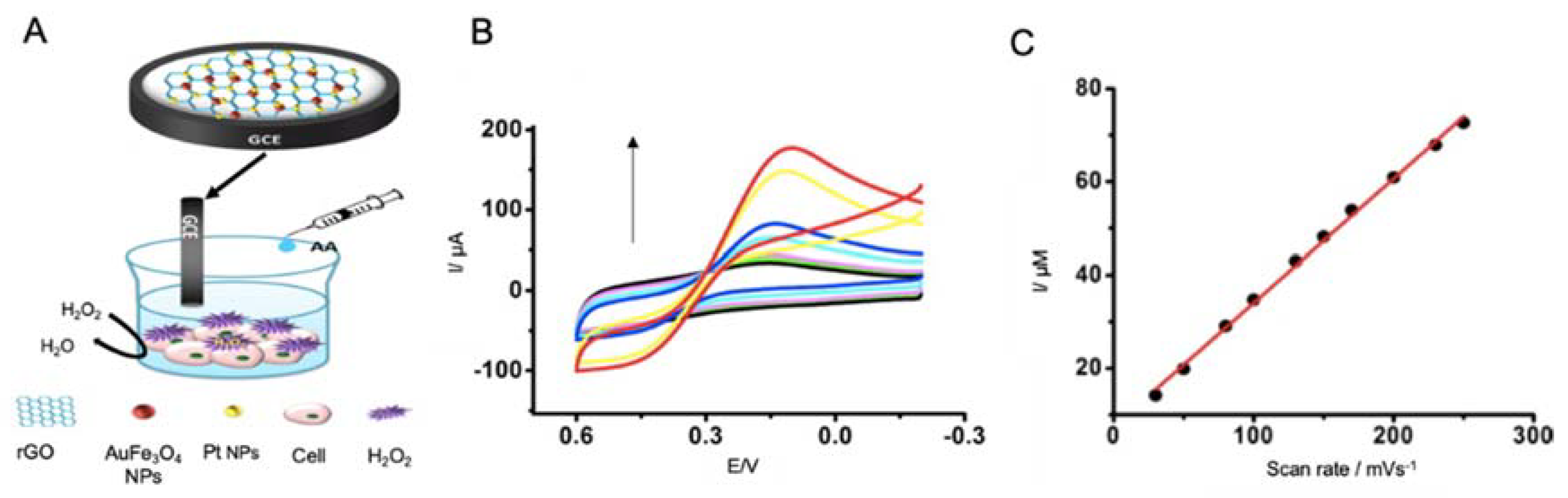 Sensors 20 04748 g015