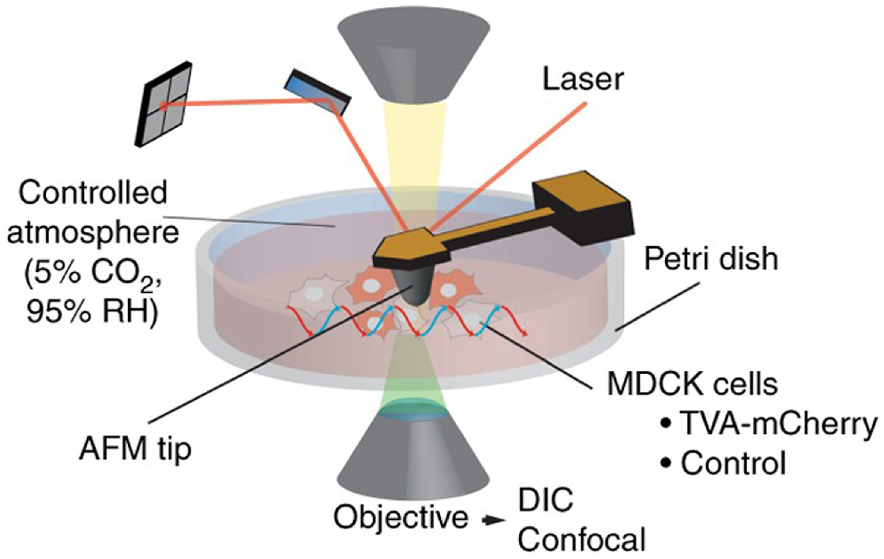 Sensors 20 04784 g001 Sensors 20 04784 g001