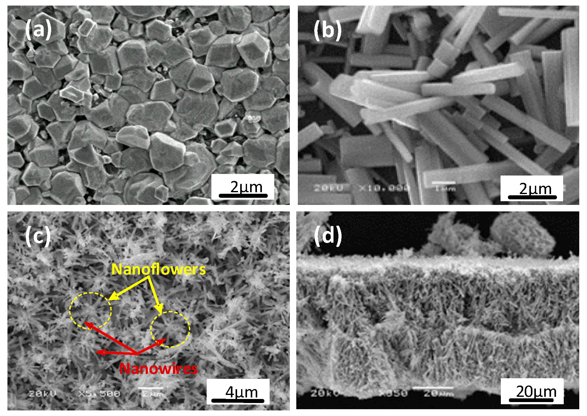 Sensors 20 04801 g001