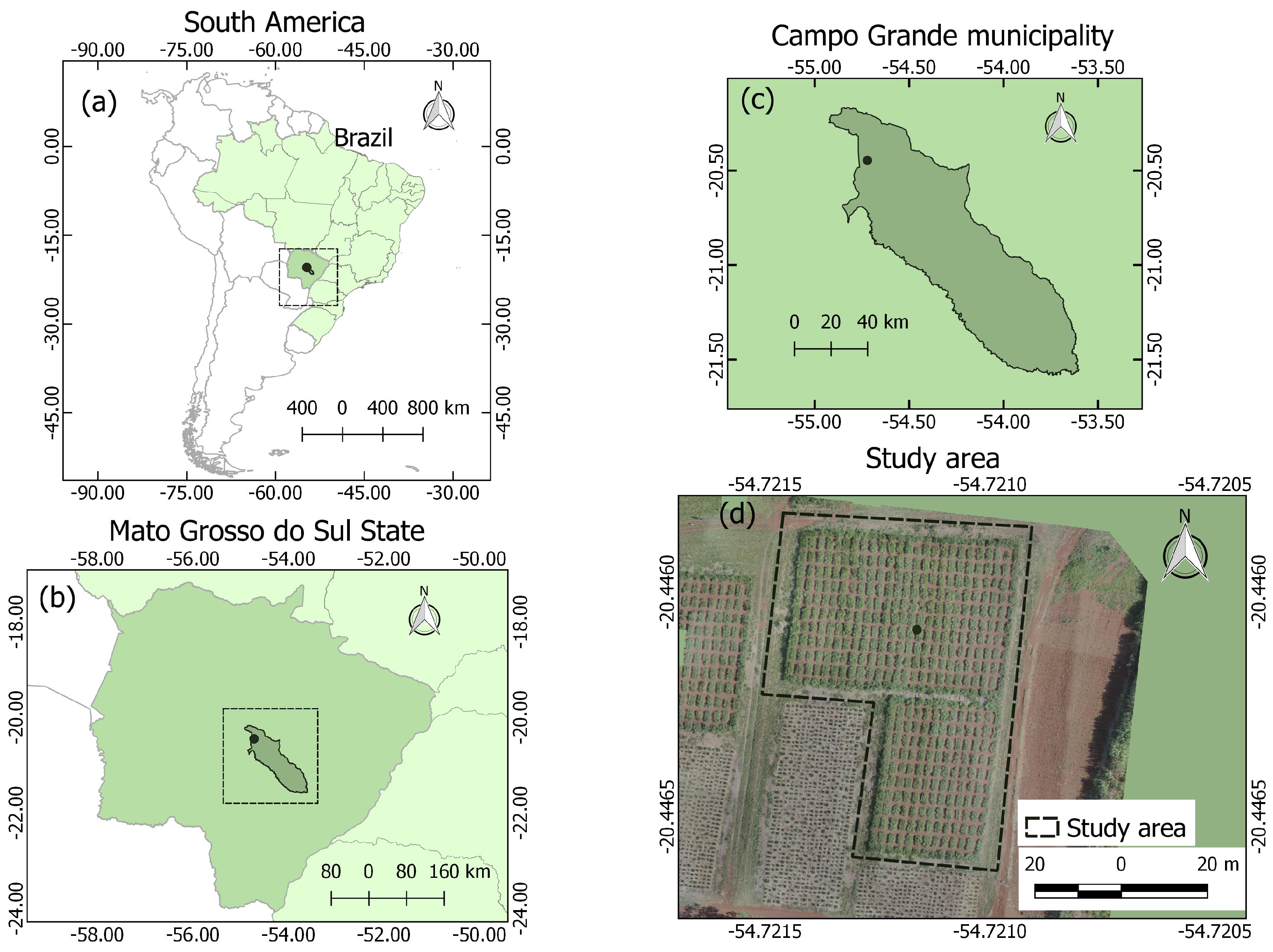 Sensors 20 04802 g001