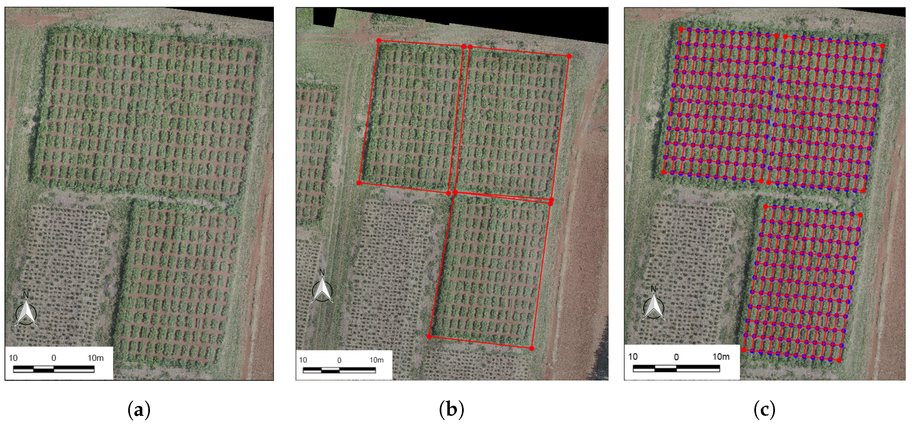 Sensors 20 04802 g002